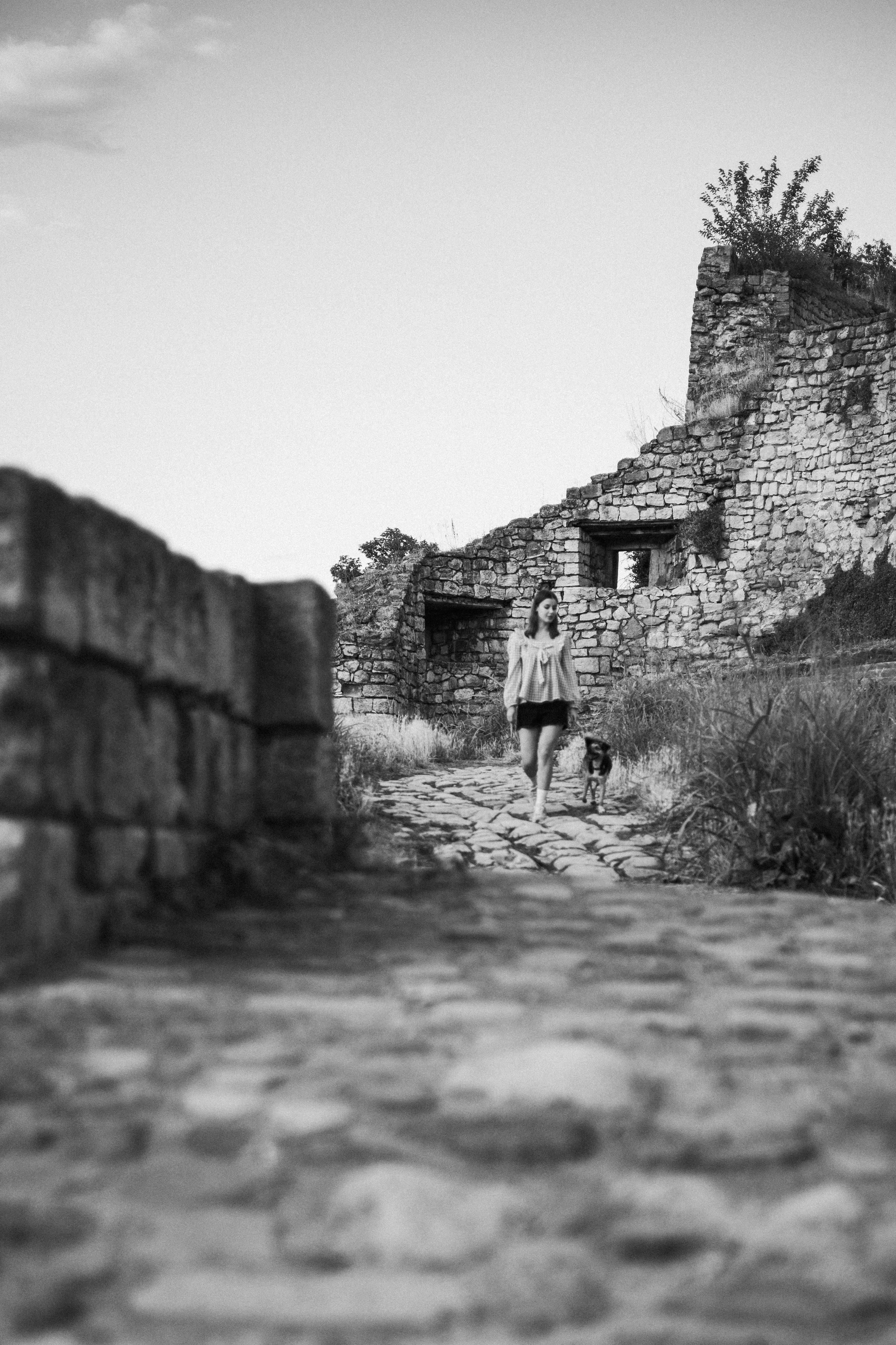 Настя, Денис и Мося. Фотограф-анималист | Белград