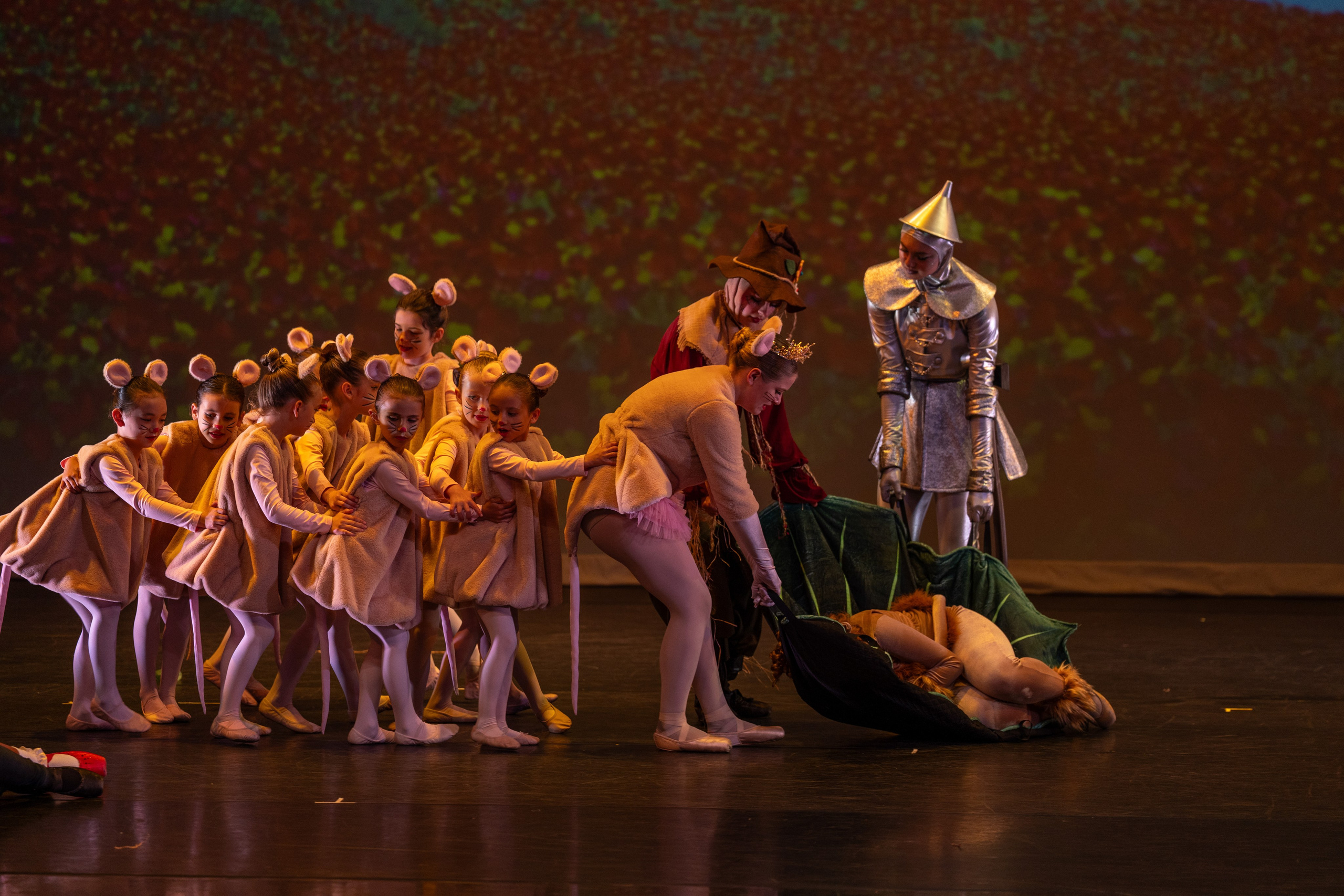 Ballet Photographer Los Angeles. Santa Clarita Photographer