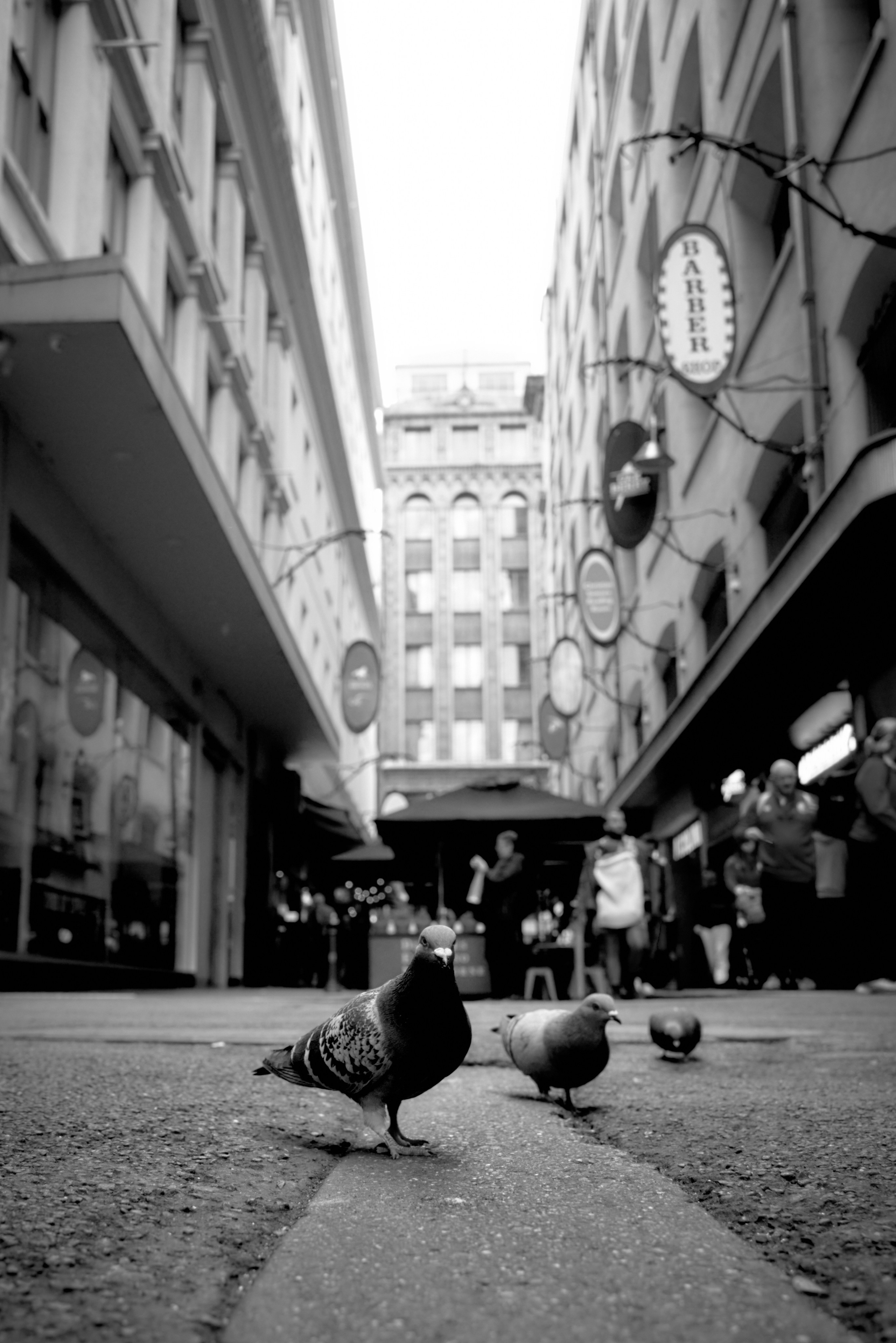 Melbourne Street Photography 2025. CARTER BNW
