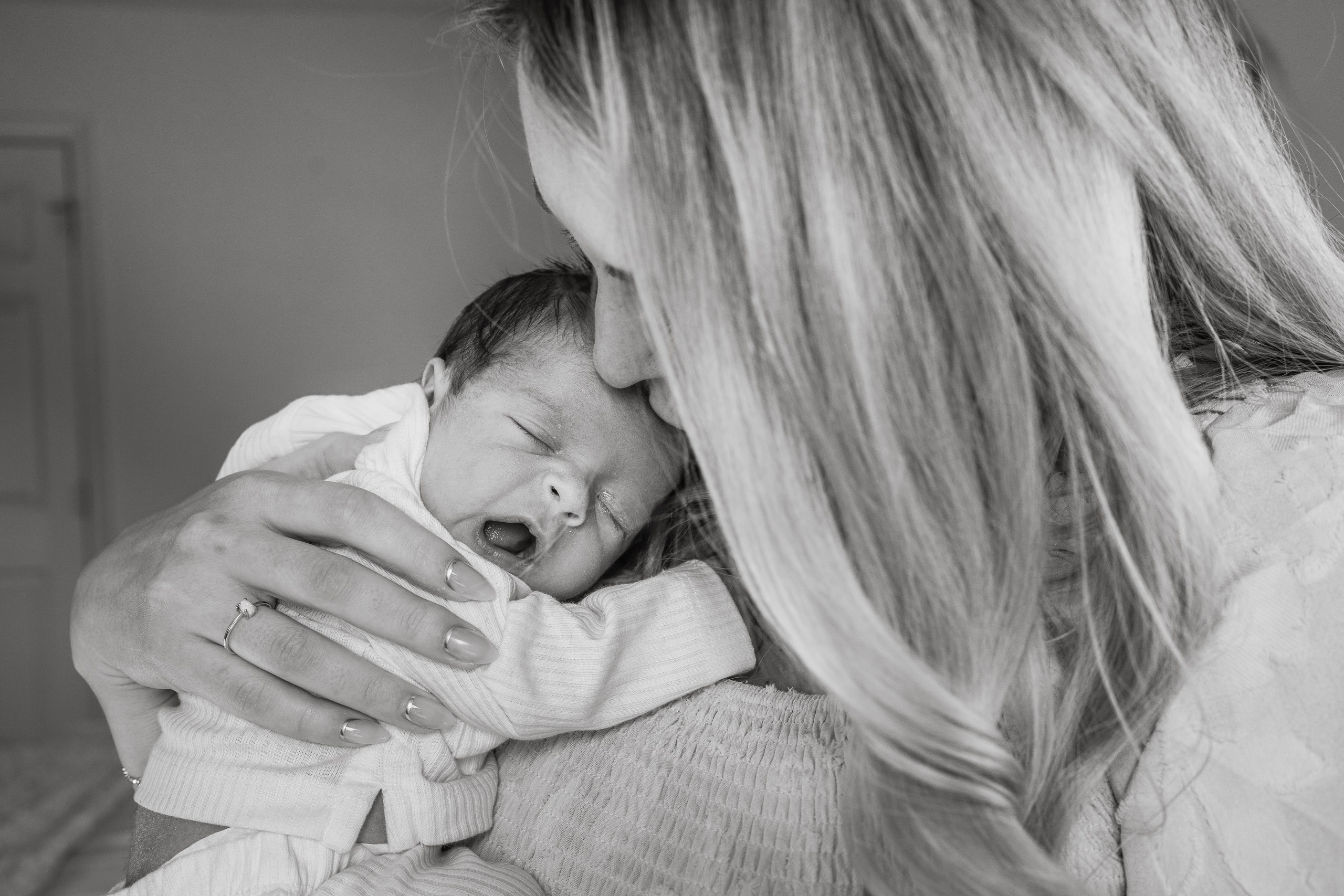 Amanda, Christopher, Christopher, Rocky. Alisa Tant — Family and newborn photographer Bucks County, Montgomery county, Philadelphia, NJ