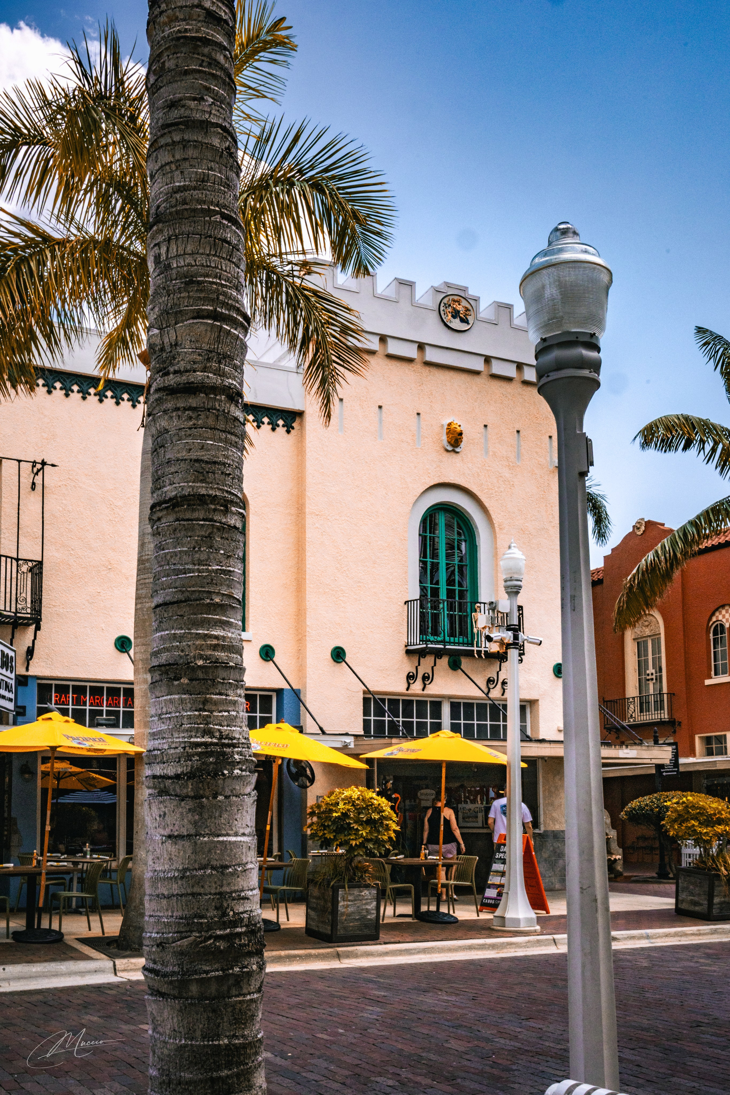 Florida Man — Fort Myers Walkabout. Out and About 239