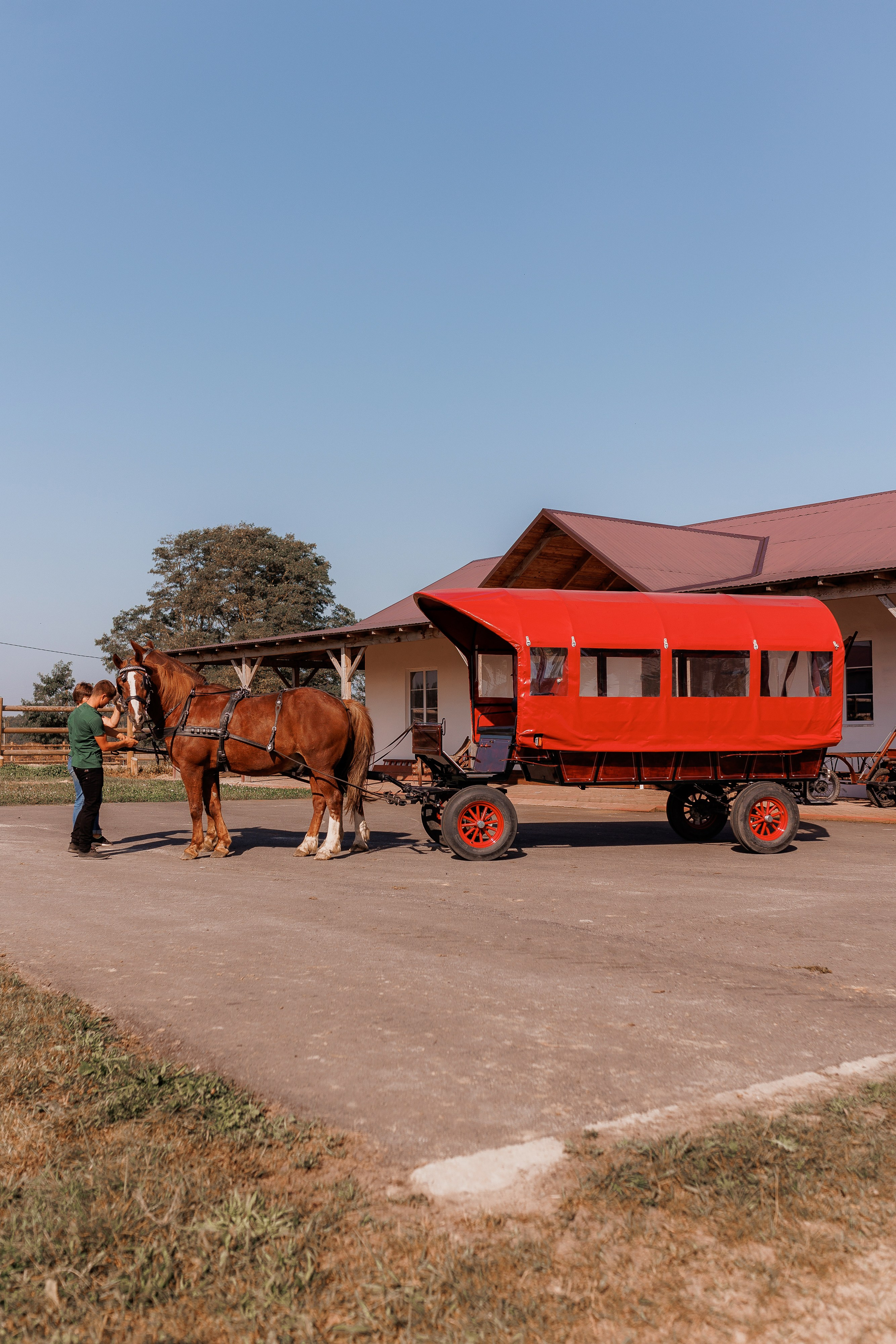 Екопарк Аміла. Ірина Терещук