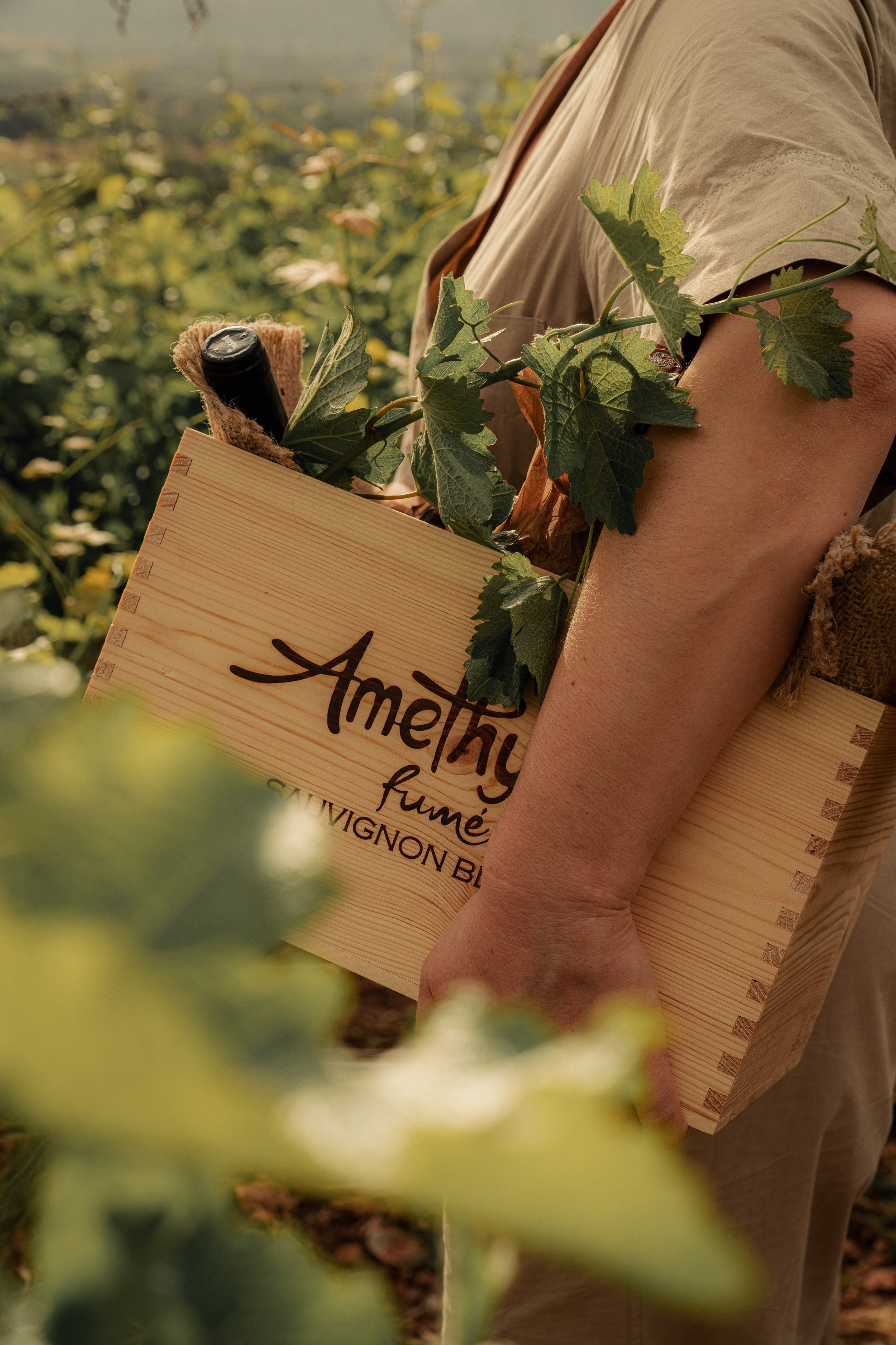 Estates Costa Lazaridi