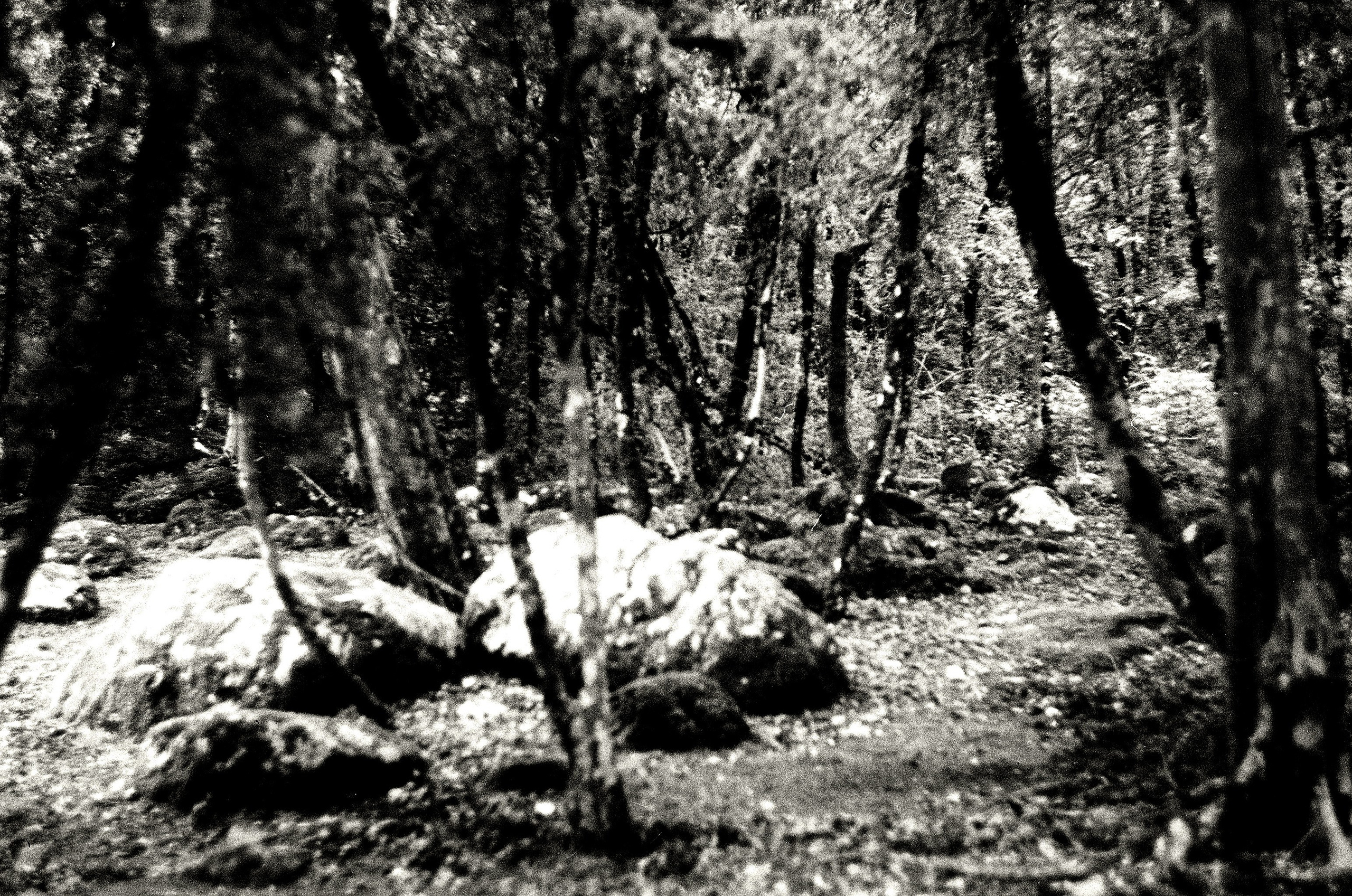 Personal Photography. Arman Milani, Brand-Focused Video Production & Content Creation, Based in Berlin