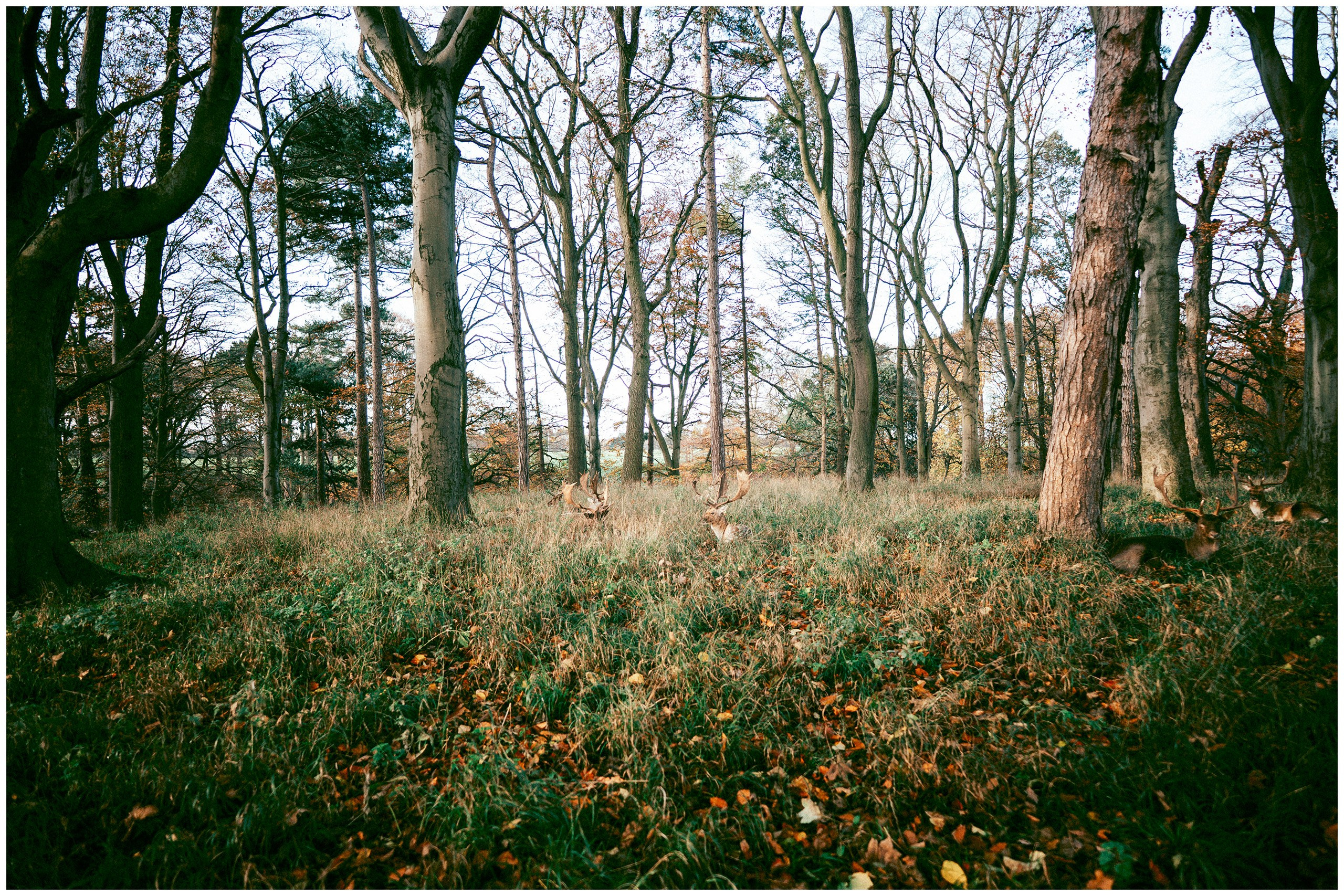 IRELAND. Inna Mendelson — Photographer