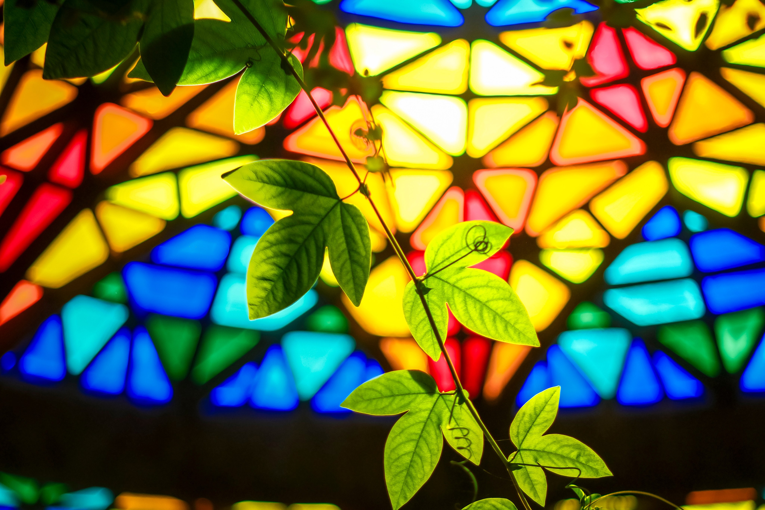 Sofi. Wedding and family photographer in Mexico City