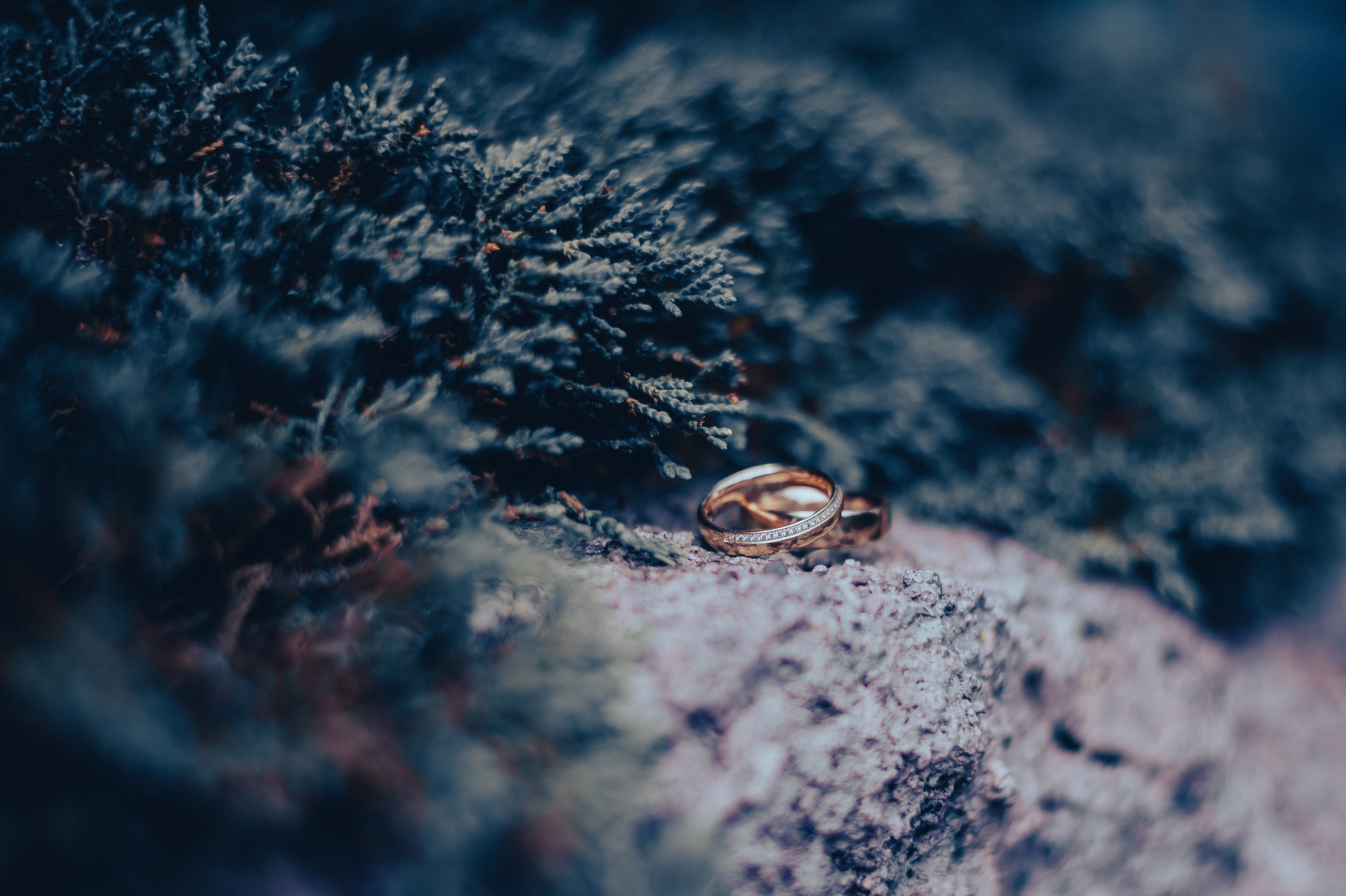 Ich bin Max, Designer, Art & Hochzeitsfotograf aus Germaringen