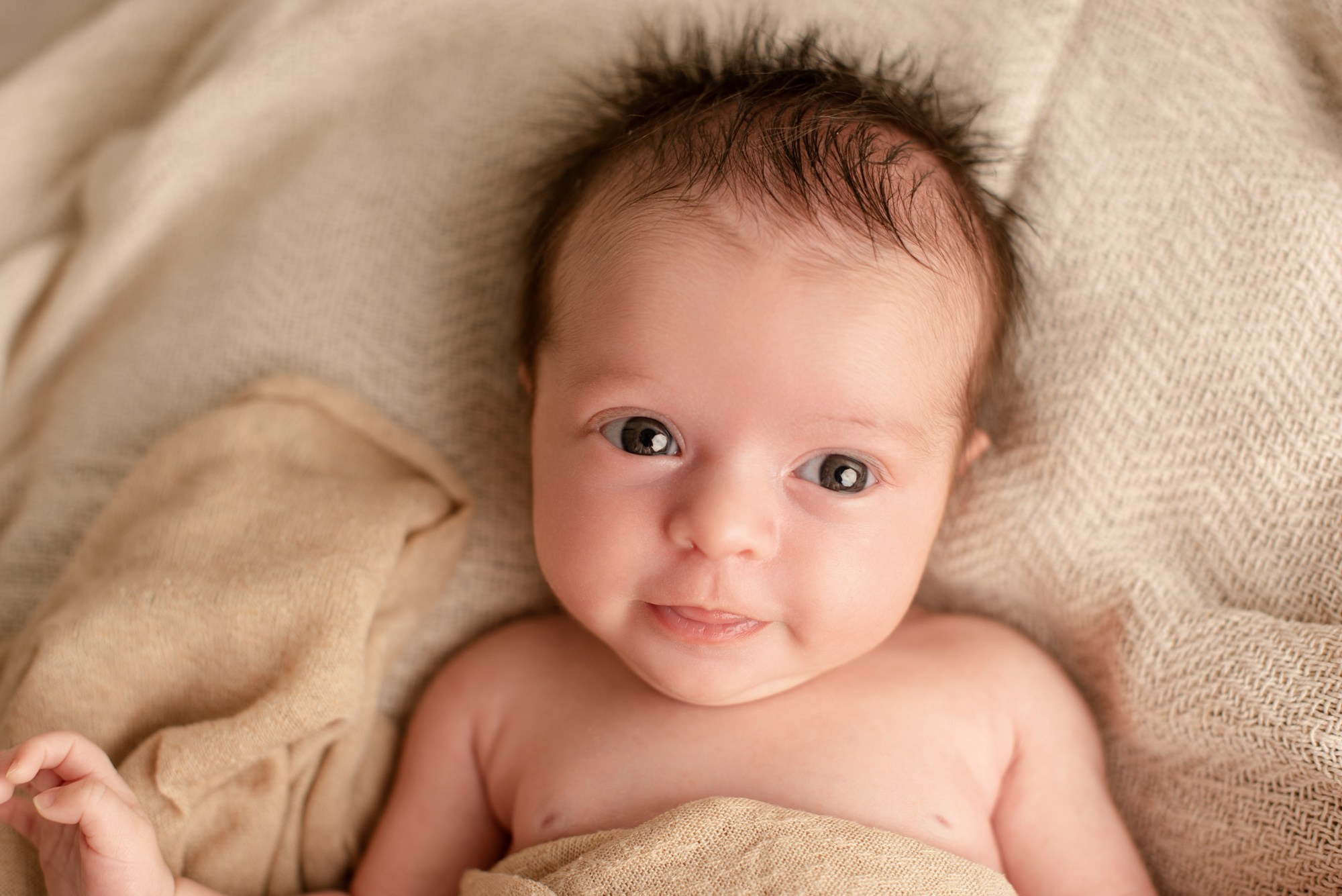 Photo nouveau-né Nord France