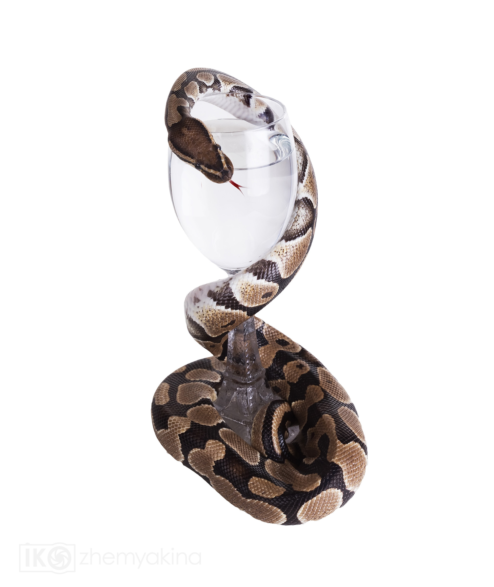 Photographer Irina Kozhemyakina. Houston