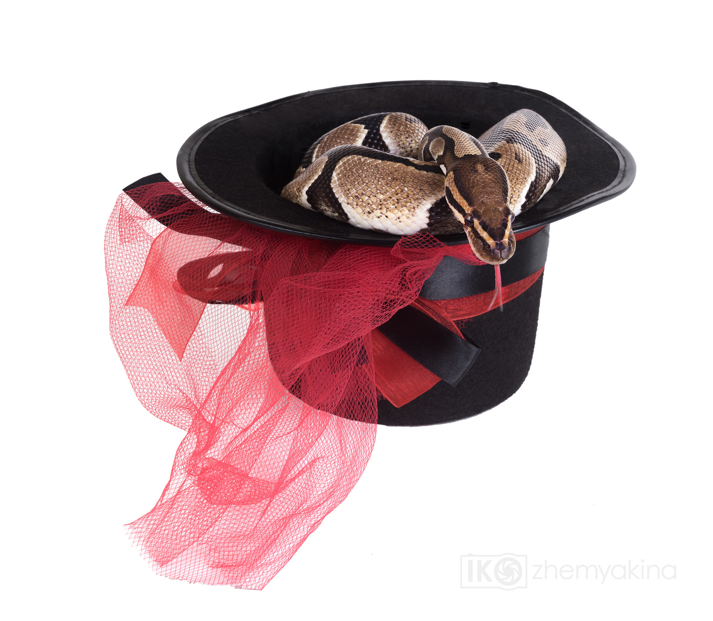 Photographer Irina Kozhemyakina. Houston