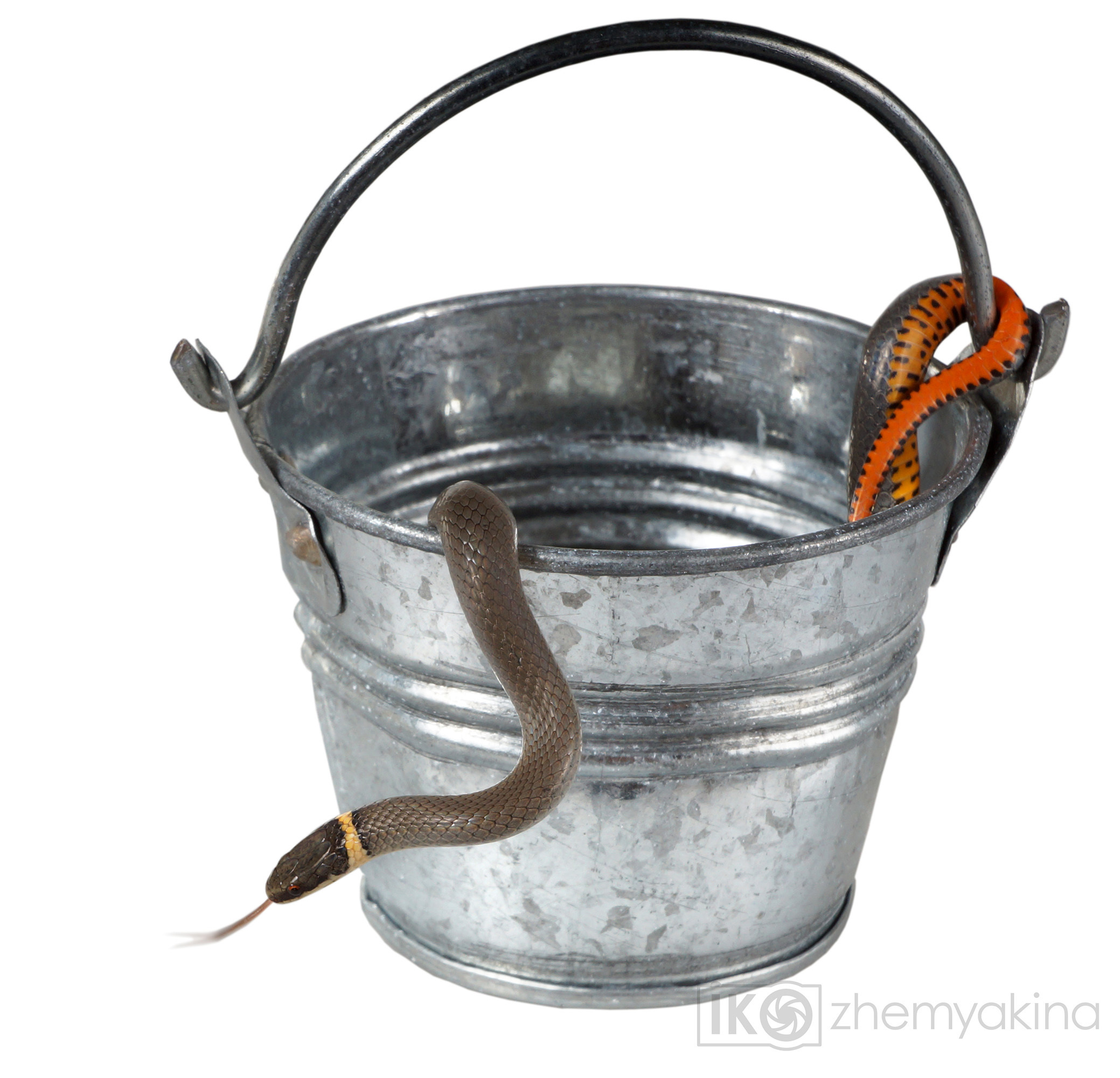 Photographer Irina Kozhemyakina. Houston