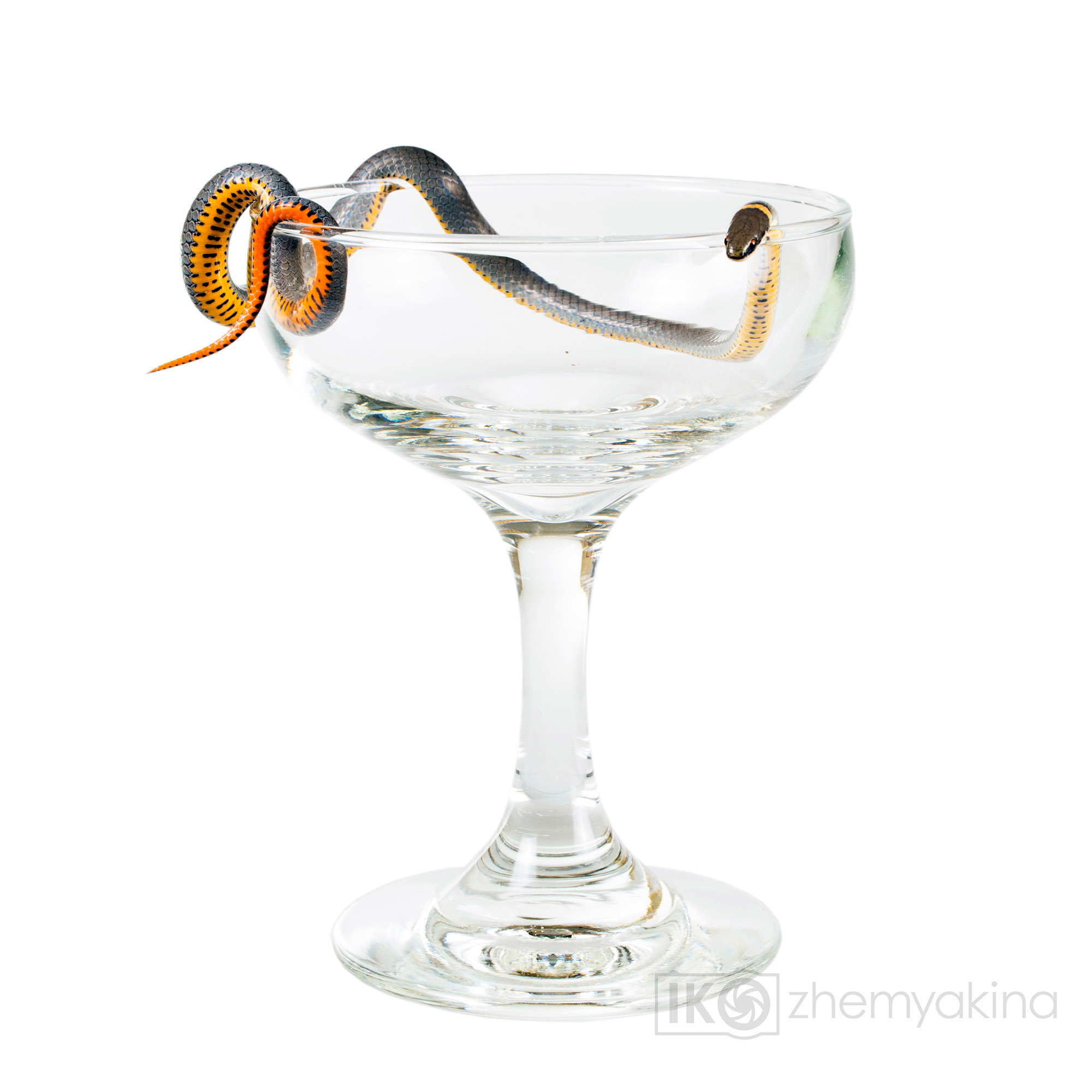 Photographer Irina Kozhemyakina. Houston