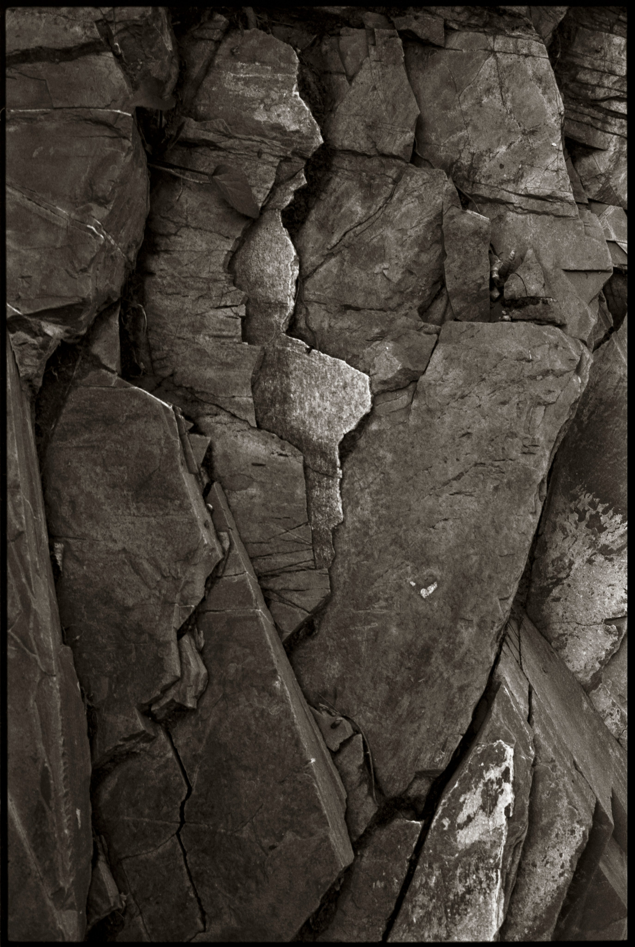 NATURE. Www.sananaleskerov.com