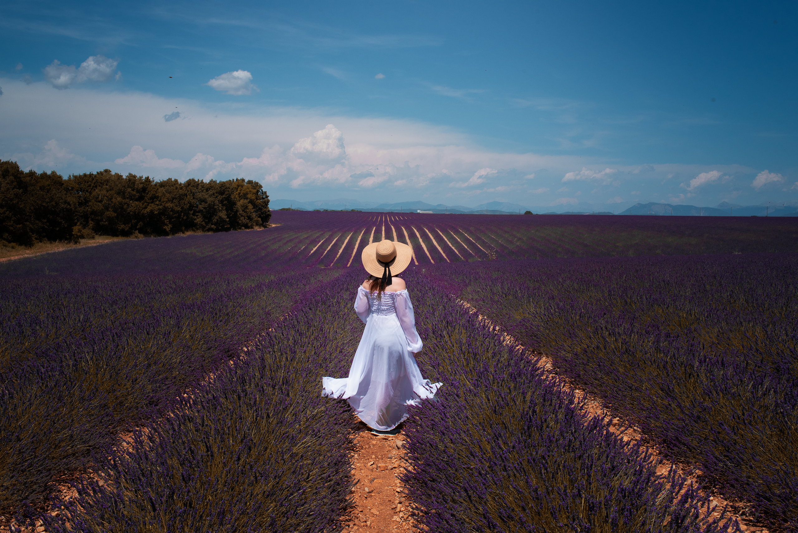 Portfolio. Gaia Li Mandri – Fotografa a Milano & Ritratti su Commissione