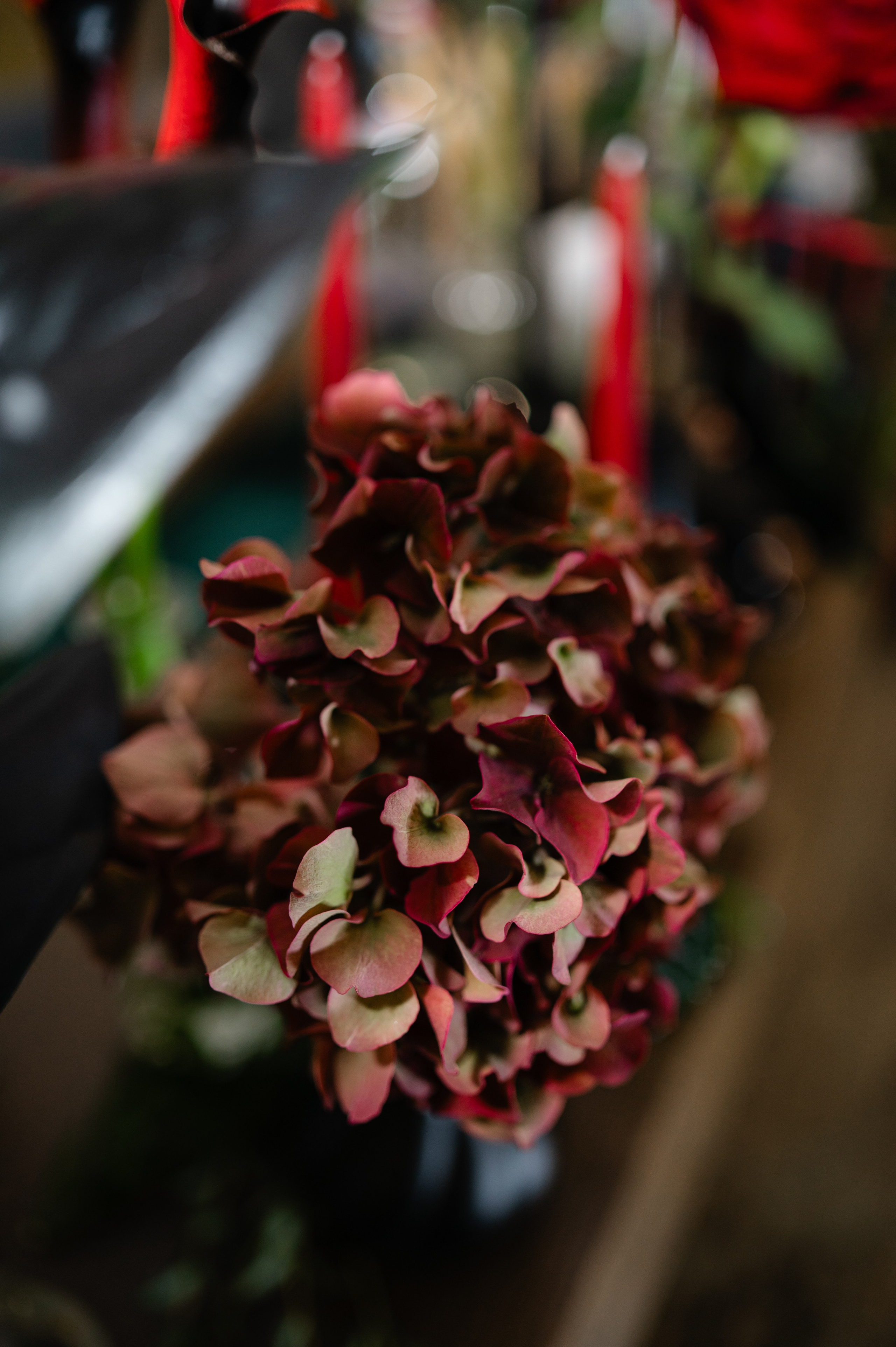 Wedding photos. Alexandra Hanu Photographer