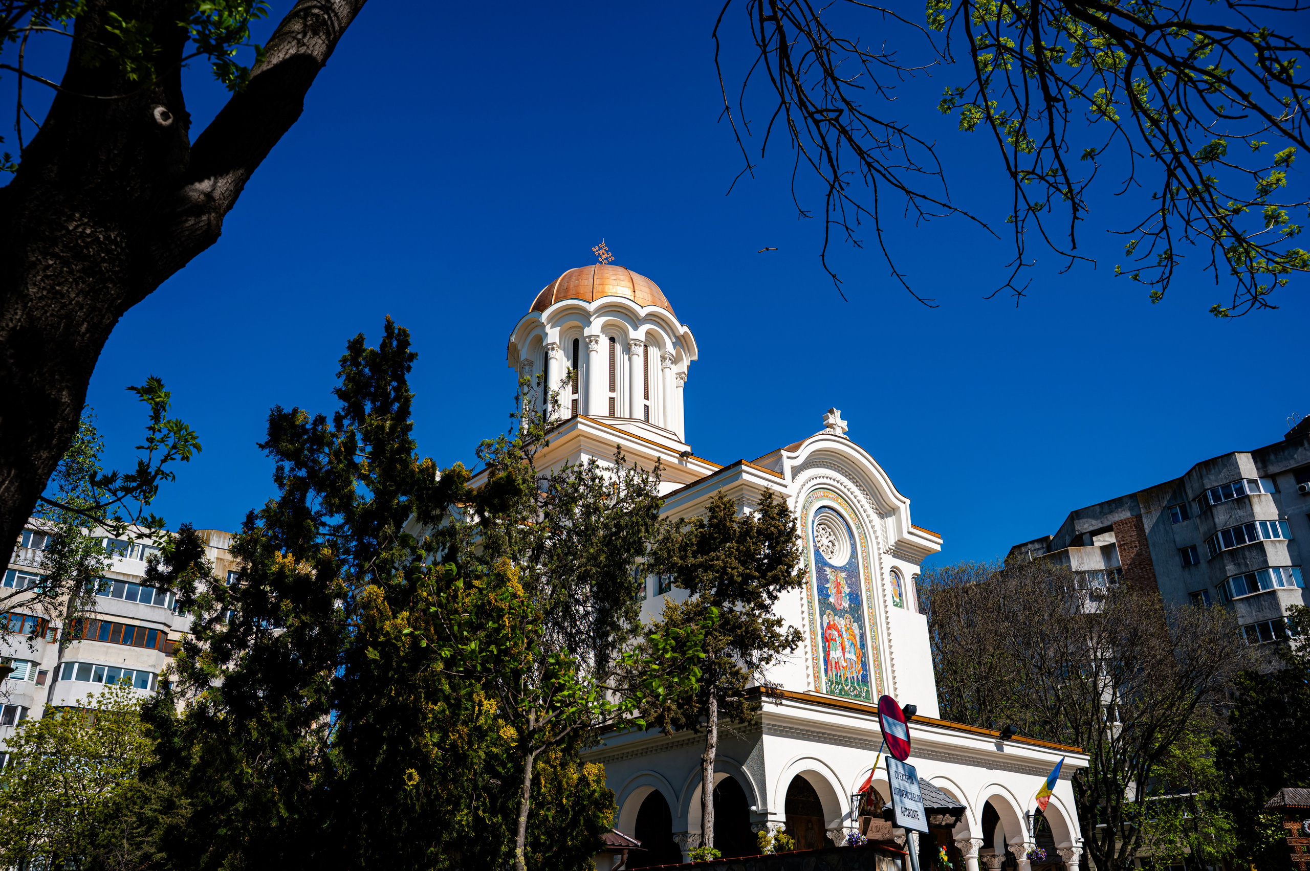 Nunta de vis