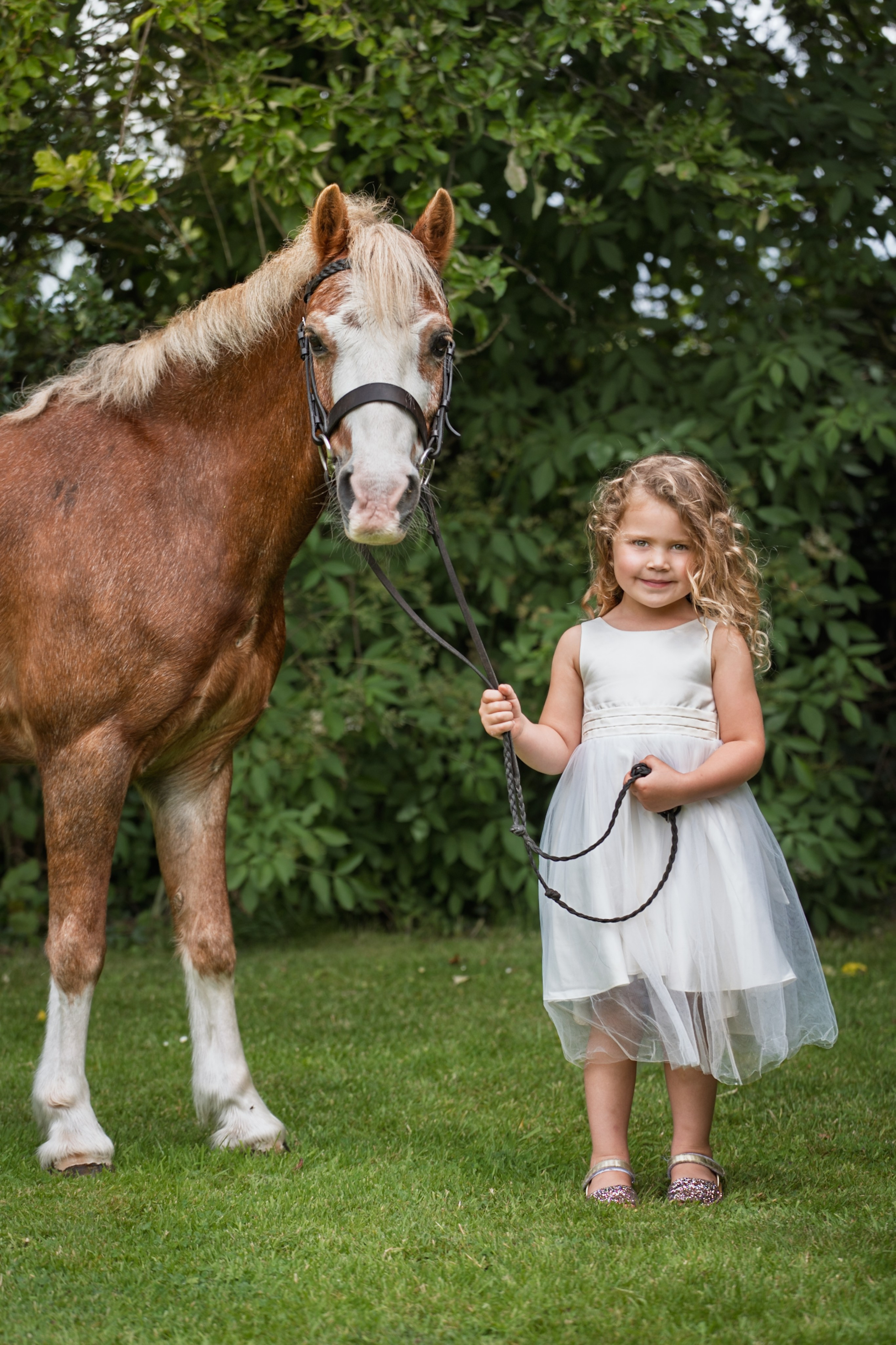 Equine Photography Portfolio | Leicestershire Horse Portrait Photographer. Leicestershire Equine Photography by El | Authentic Equine Portraits & Events