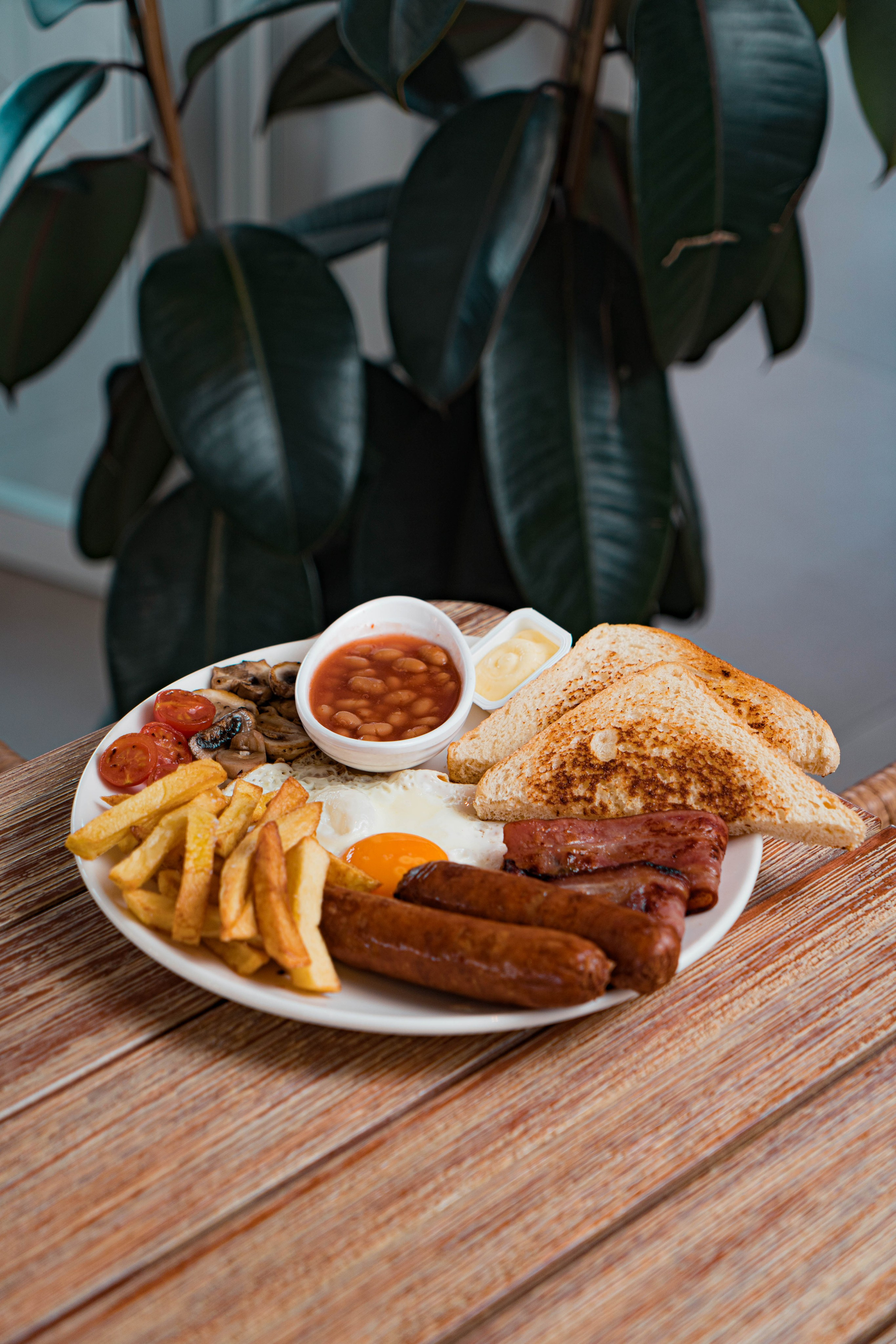 LA TERRACICA. Baby Beast