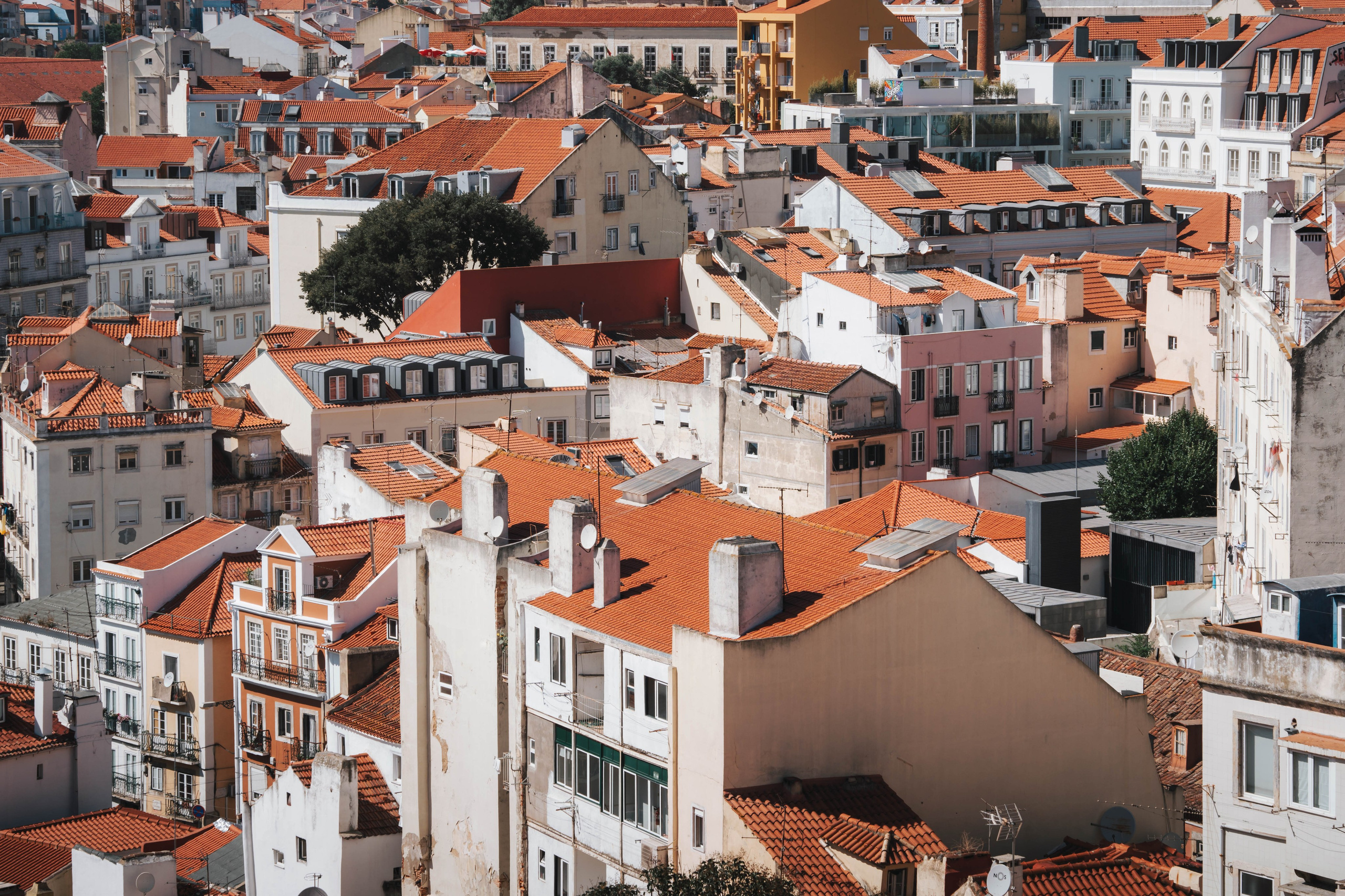 Lisboa, Agosto 2024. Alba del Norte Studio