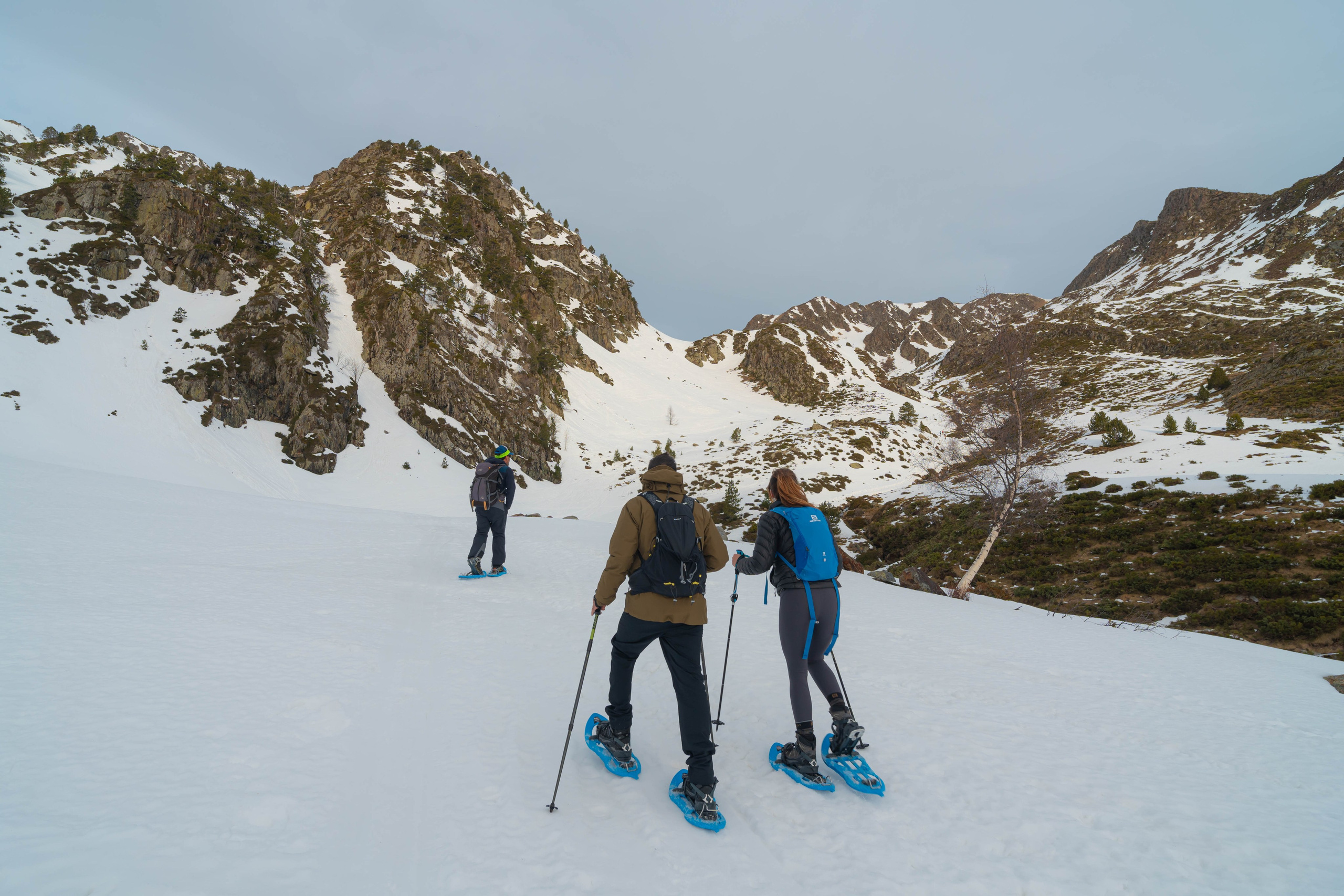 Ruta Comas de Fort. Alba del Norte Studio