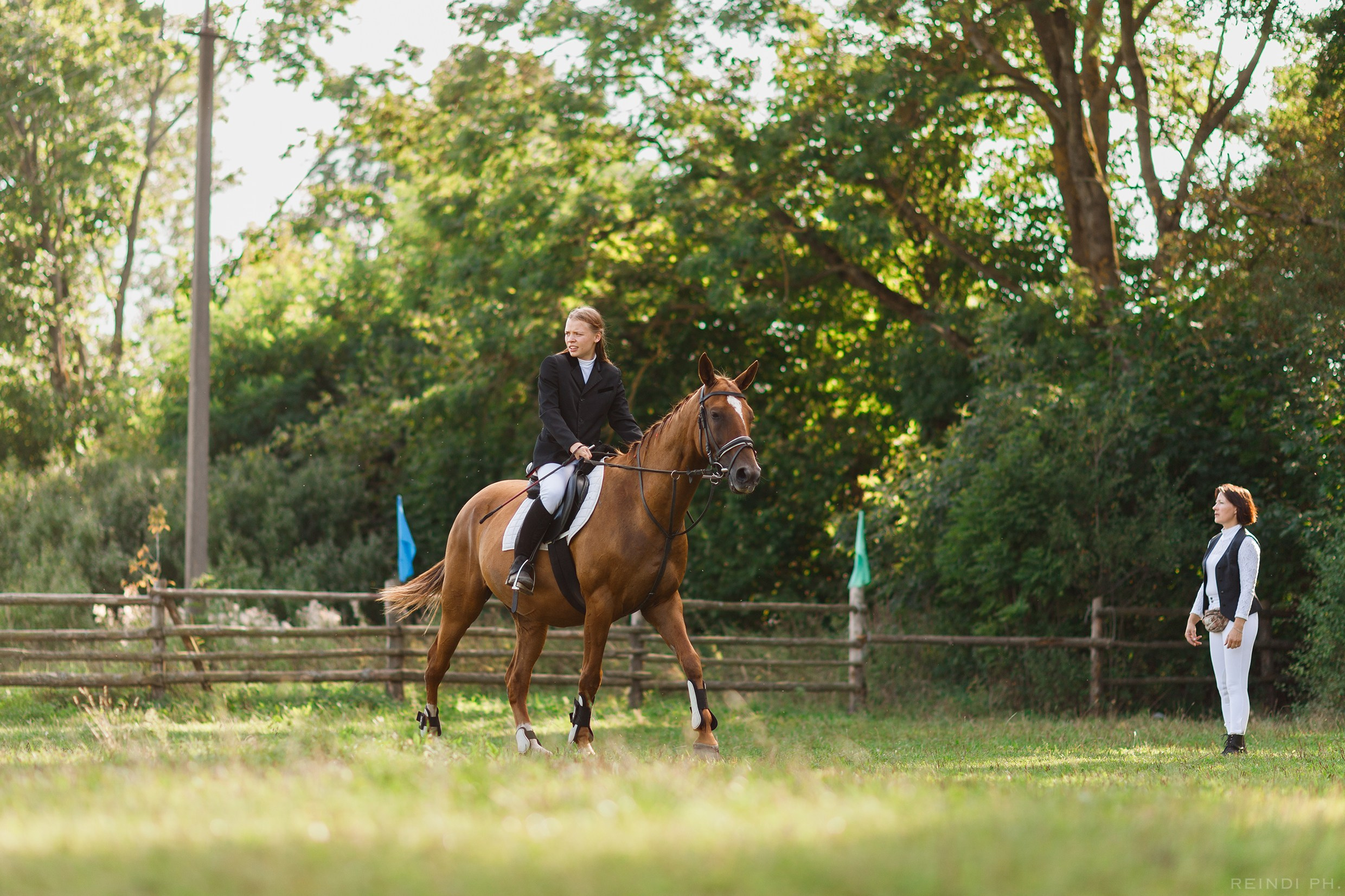 Horse show in the village. Kaja | fotograf we Wrocławiu | ludzie i psy