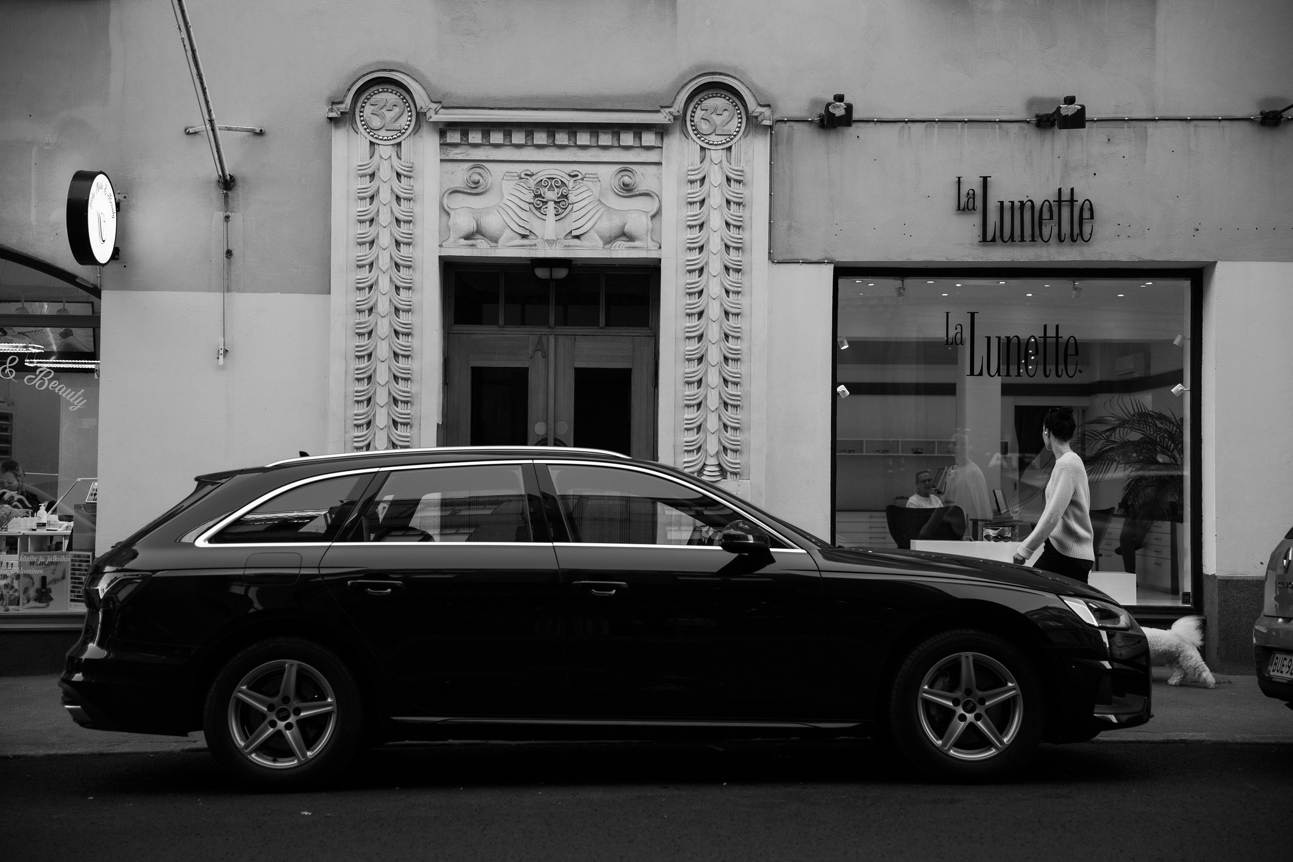 Helsinki. Kaja | fotograf psów we Wrocławiu