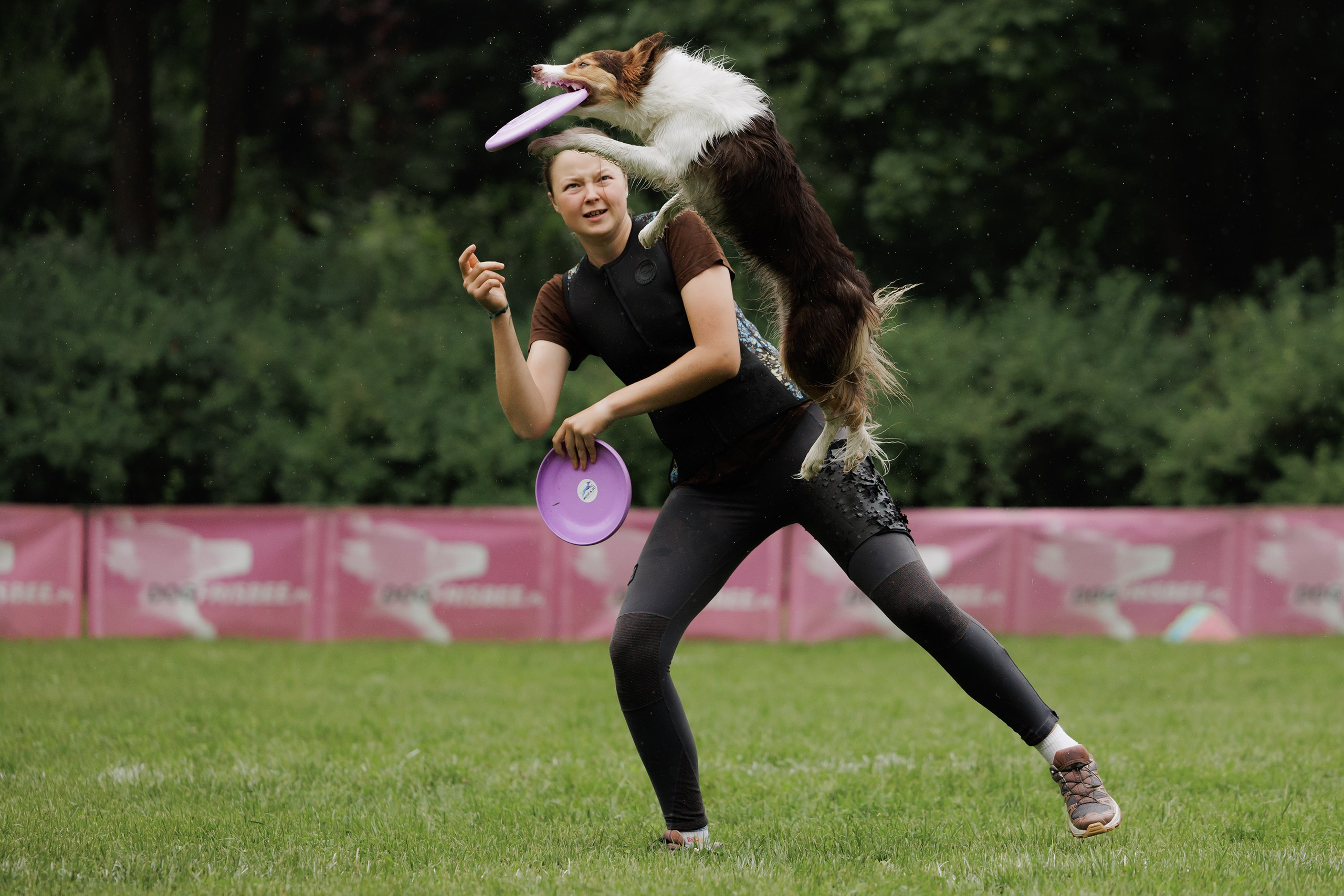 Latające psy, Wrocław'25. Kaja | fotograf psów we Wrocławiu