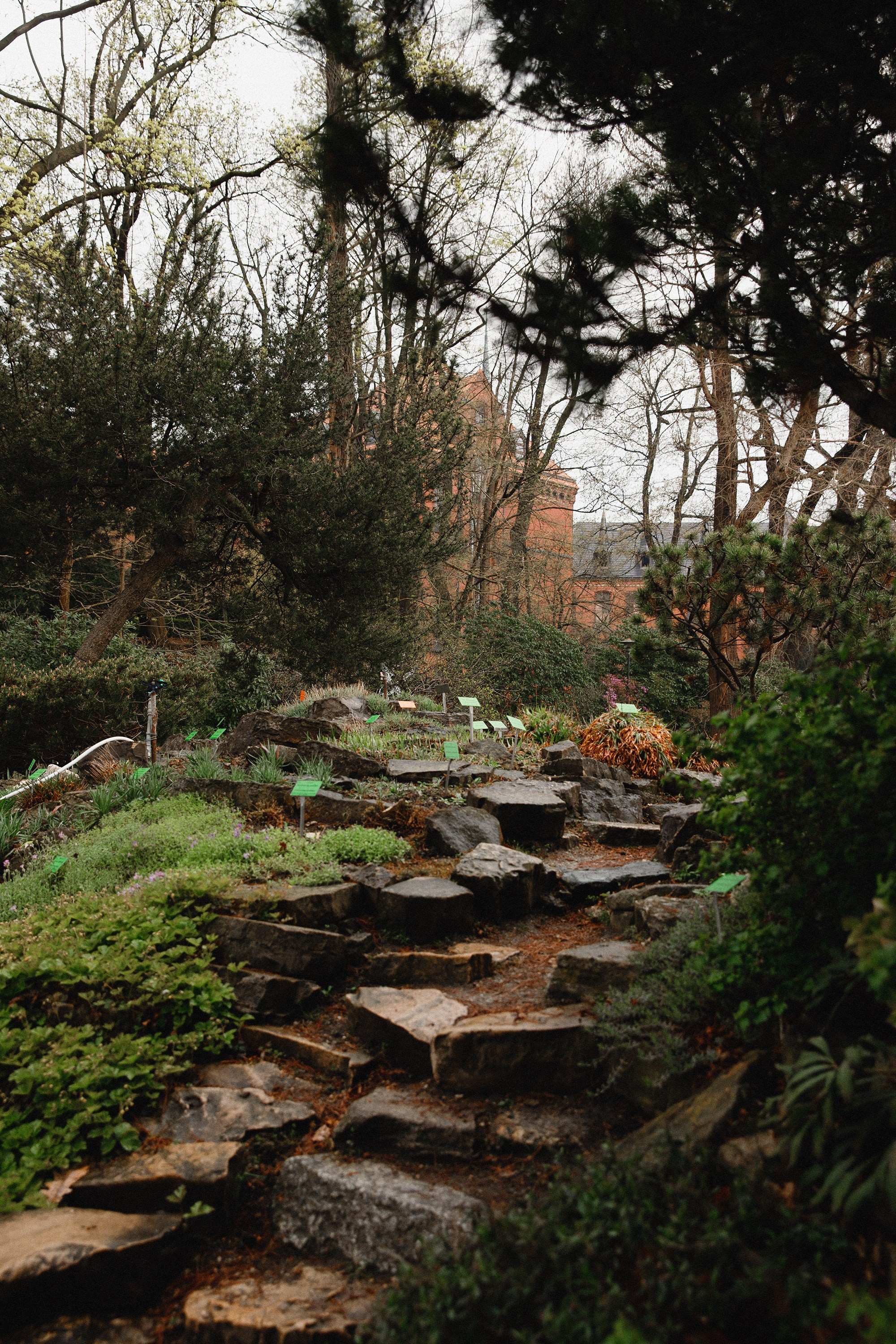 Botanical garden in Wroclaw. Kaja | fotograf we Wrocławiu | ludzie i psy