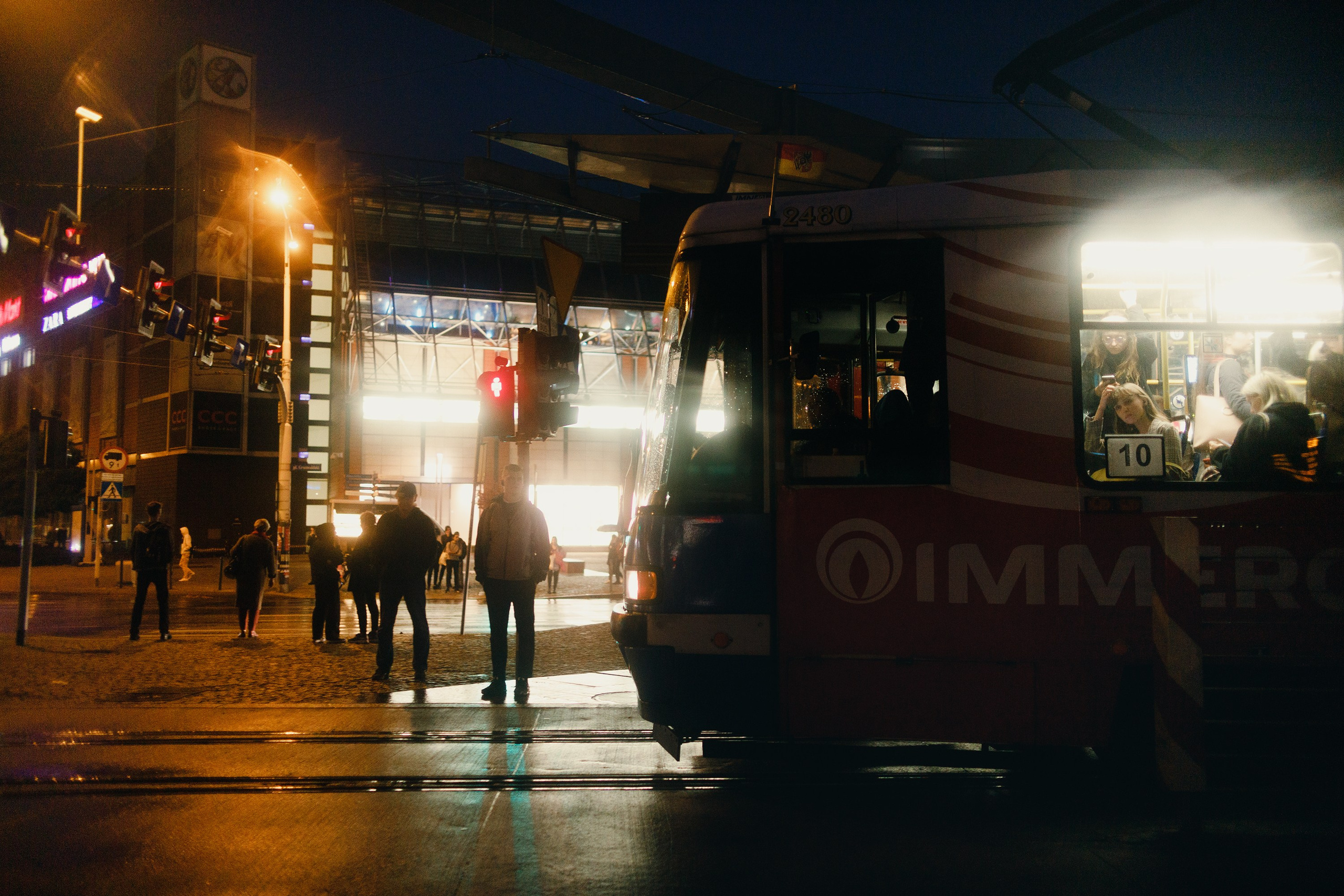 Night rainy Wroclaw. Kaja | fotograf psów we Wrocławiu