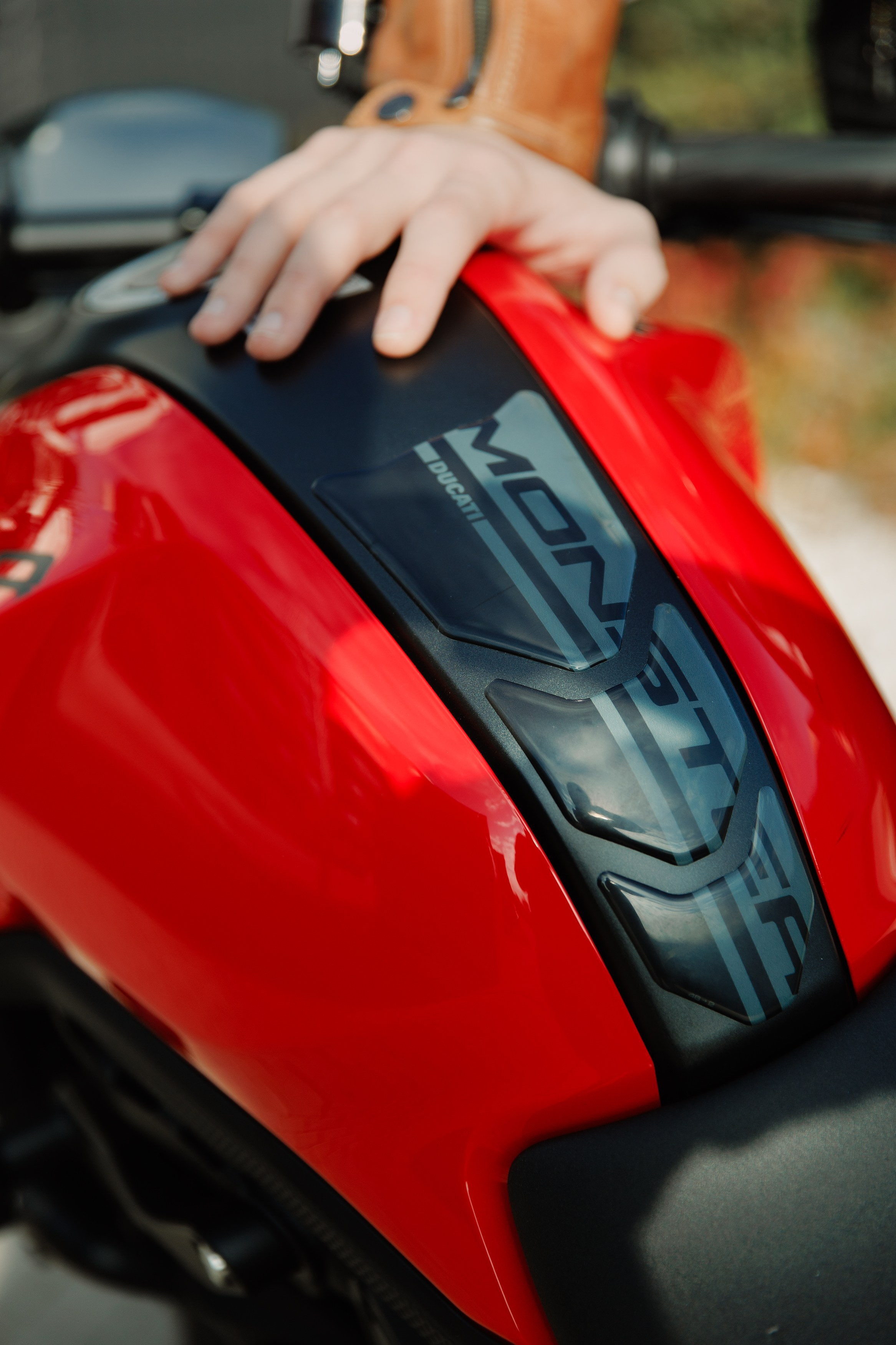 Alex. Kaja | fotograf psów we Wrocławiu