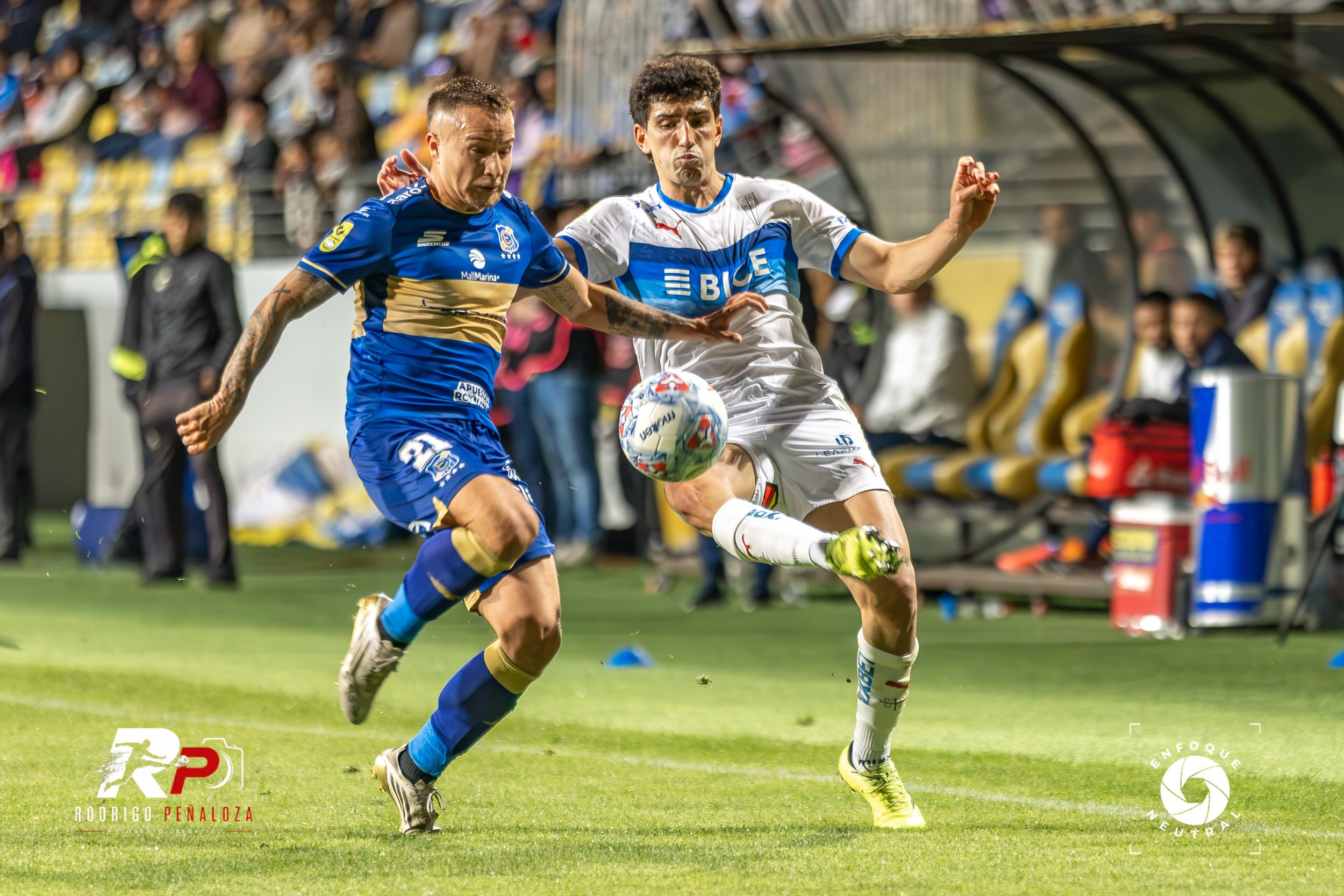 GALERIA: EVERTON VS U. CATOLICA FECHA 22 LIGA DE PRIMERA. Fotógrafo Deportivo Rodrigo Peñaloza Otarola