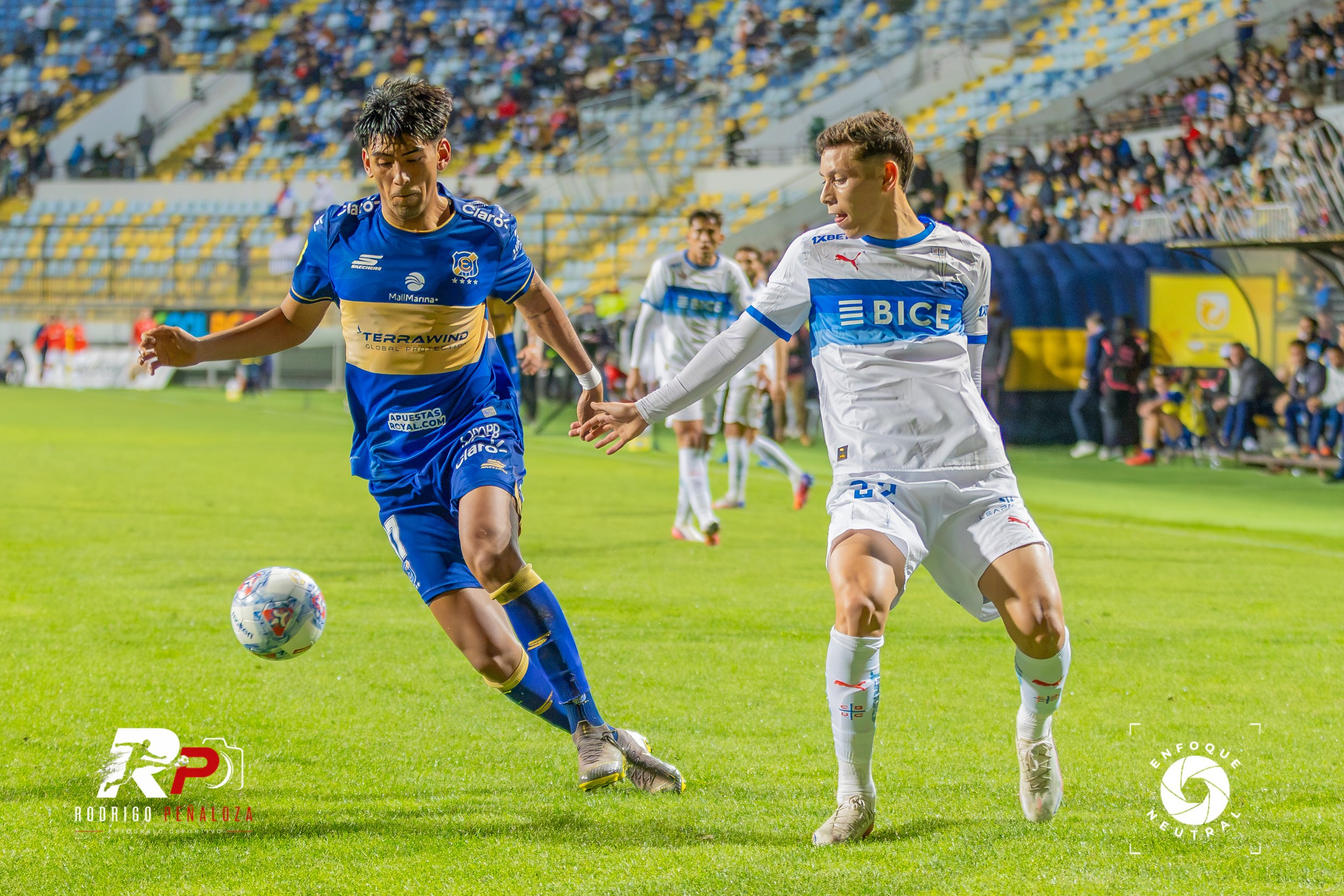 GALERIA: EVERTON VS U. CATOLICA FECHA 22 LIGA DE PRIMERA. Fotógrafo Deportivo Rodrigo Peñaloza Otarola