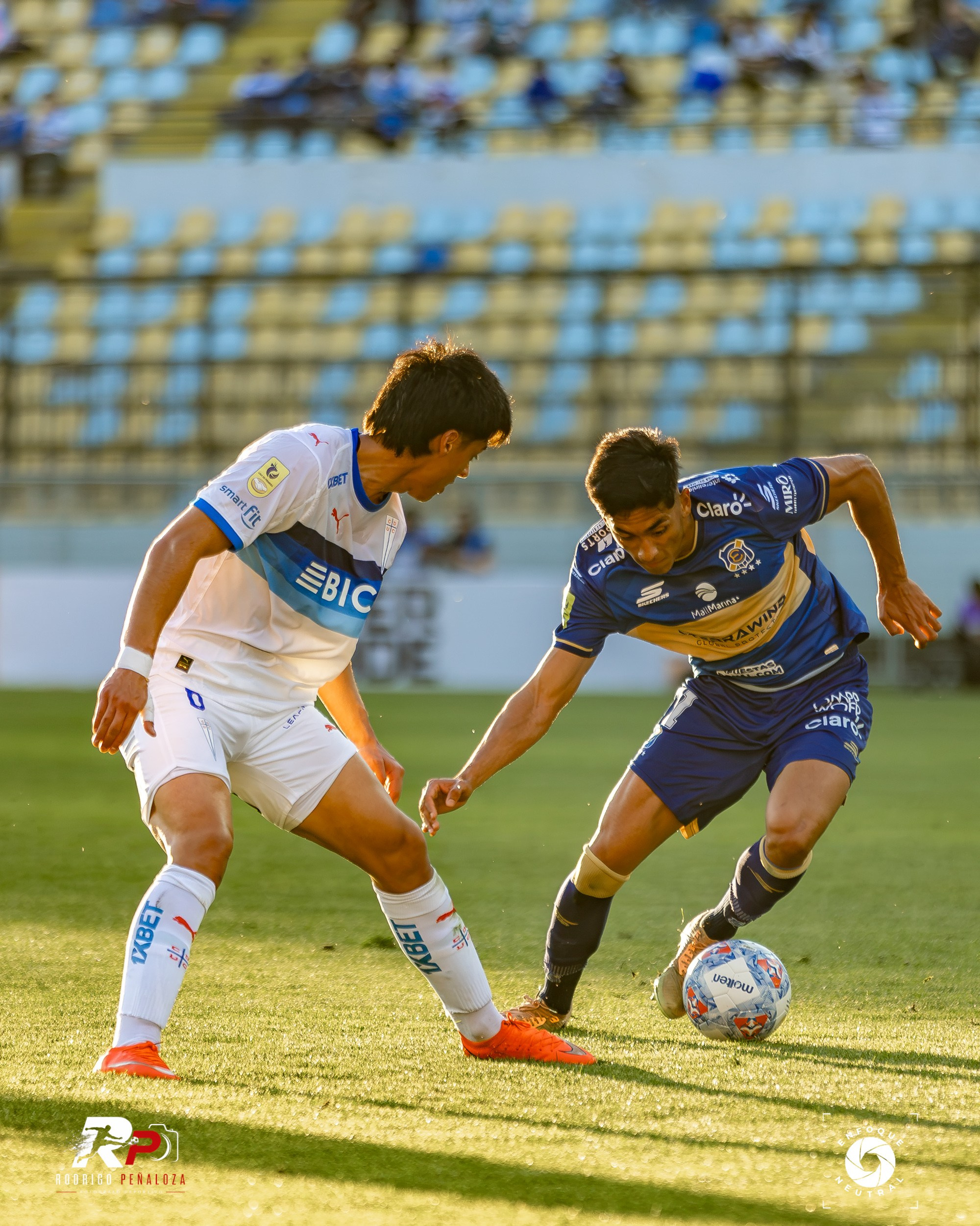 GALERIA: EVERTON VS U. CATOLICA FECHA 22 LIGA DE PRIMERA. Fotógrafo Deportivo Rodrigo Peñaloza Otarola