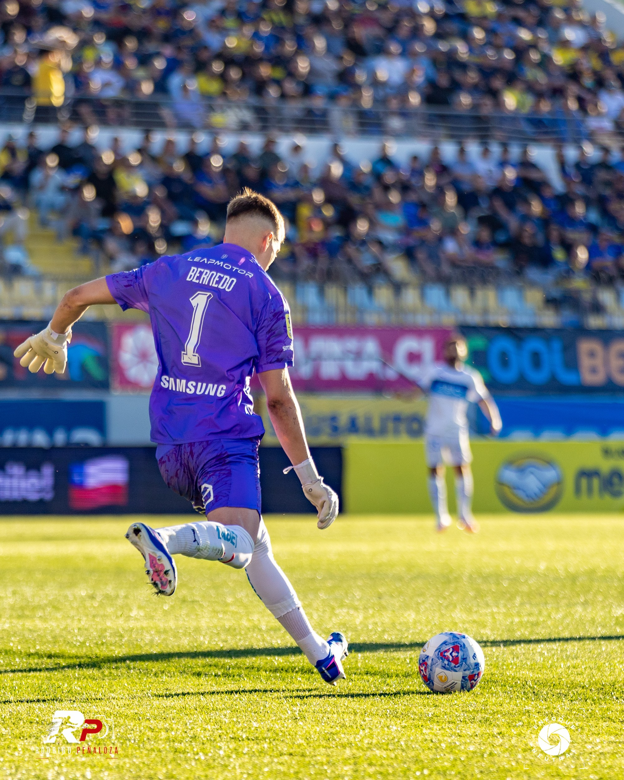 GALERIA: EVERTON VS U. CATOLICA FECHA 22 LIGA DE PRIMERA. Fotógrafo Deportivo Rodrigo Peñaloza Otarola