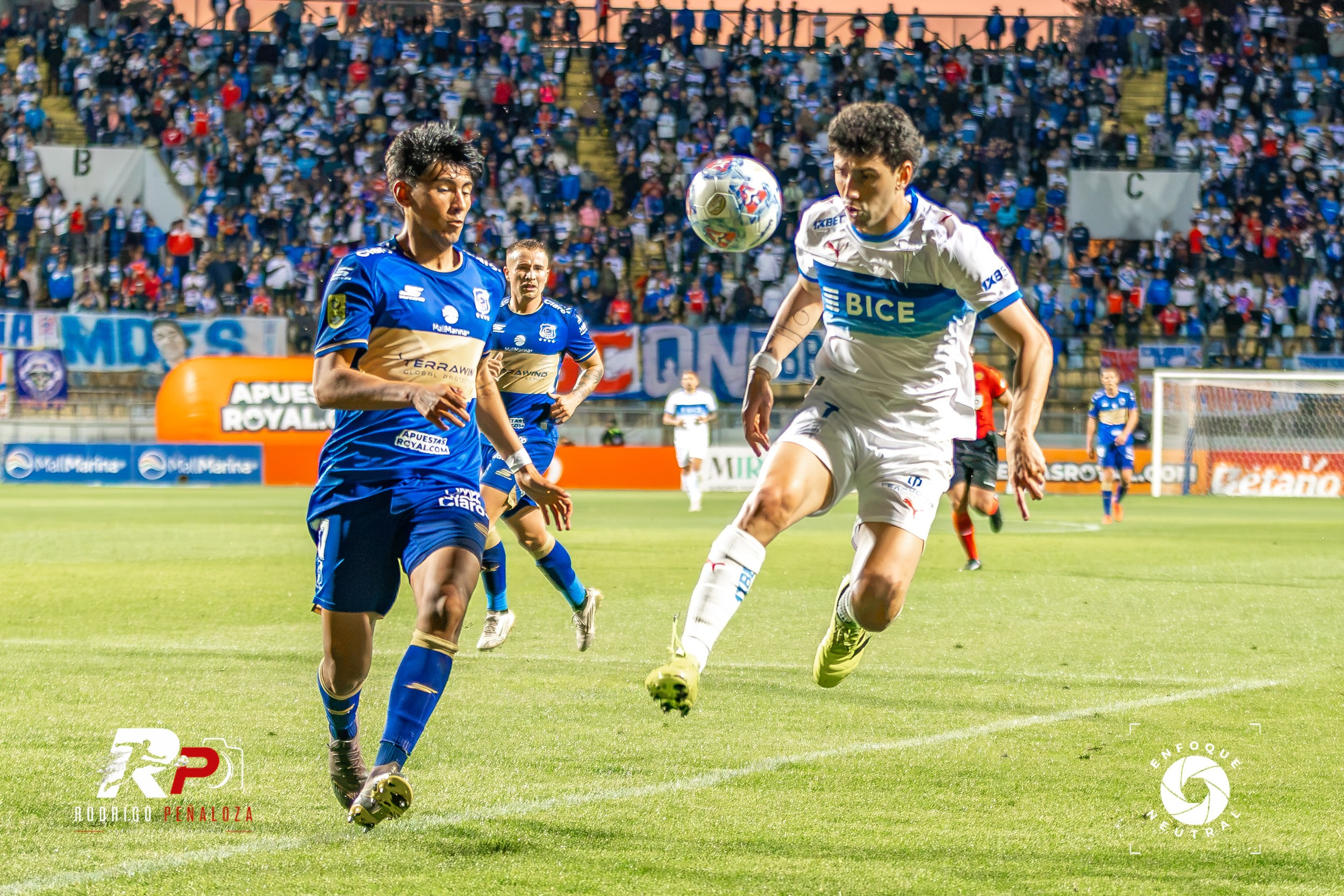 GALERIA: EVERTON VS U. CATOLICA FECHA 22 LIGA DE PRIMERA. Fotógrafo Deportivo Rodrigo Peñaloza Otarola