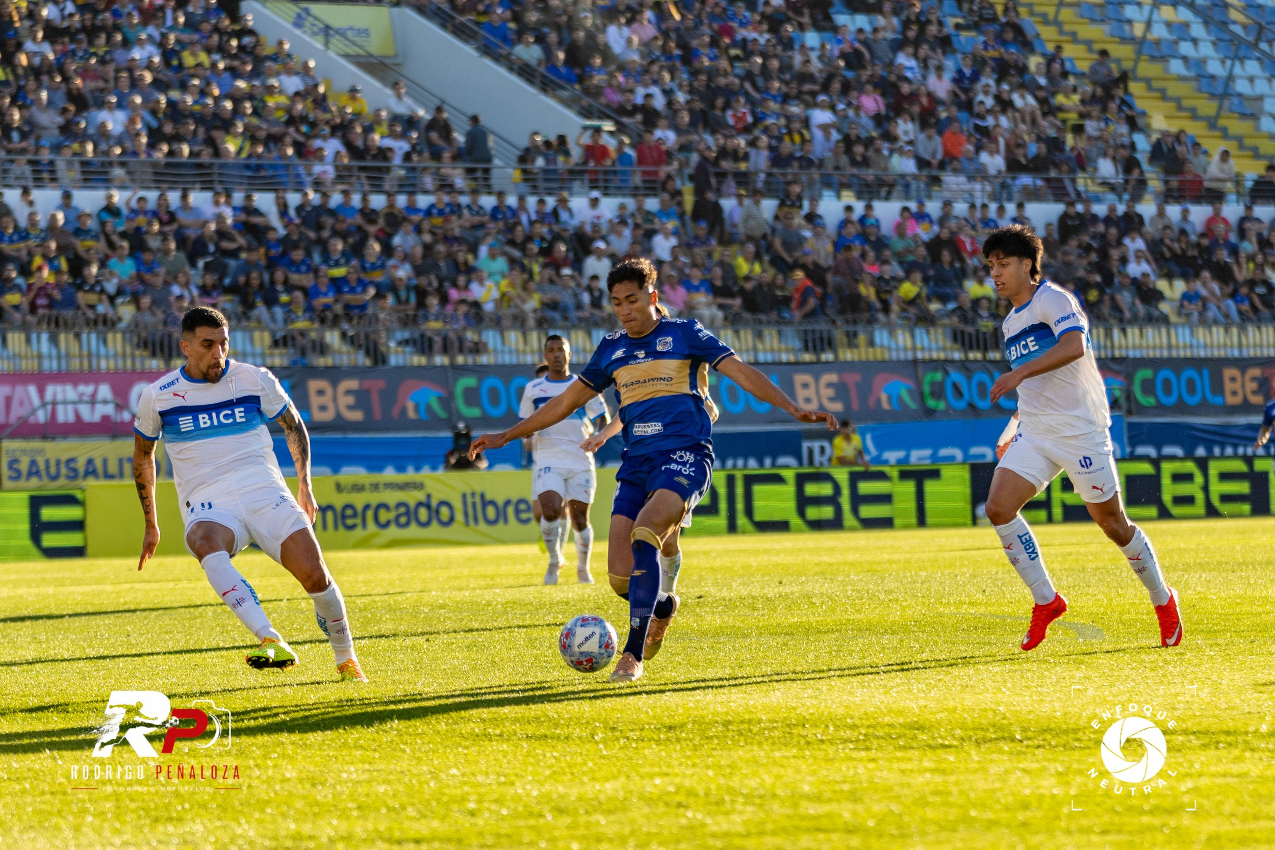 GALERIA: EVERTON VS U. CATOLICA FECHA 22 LIGA DE PRIMERA. Fotógrafo Deportivo Rodrigo Peñaloza Otarola