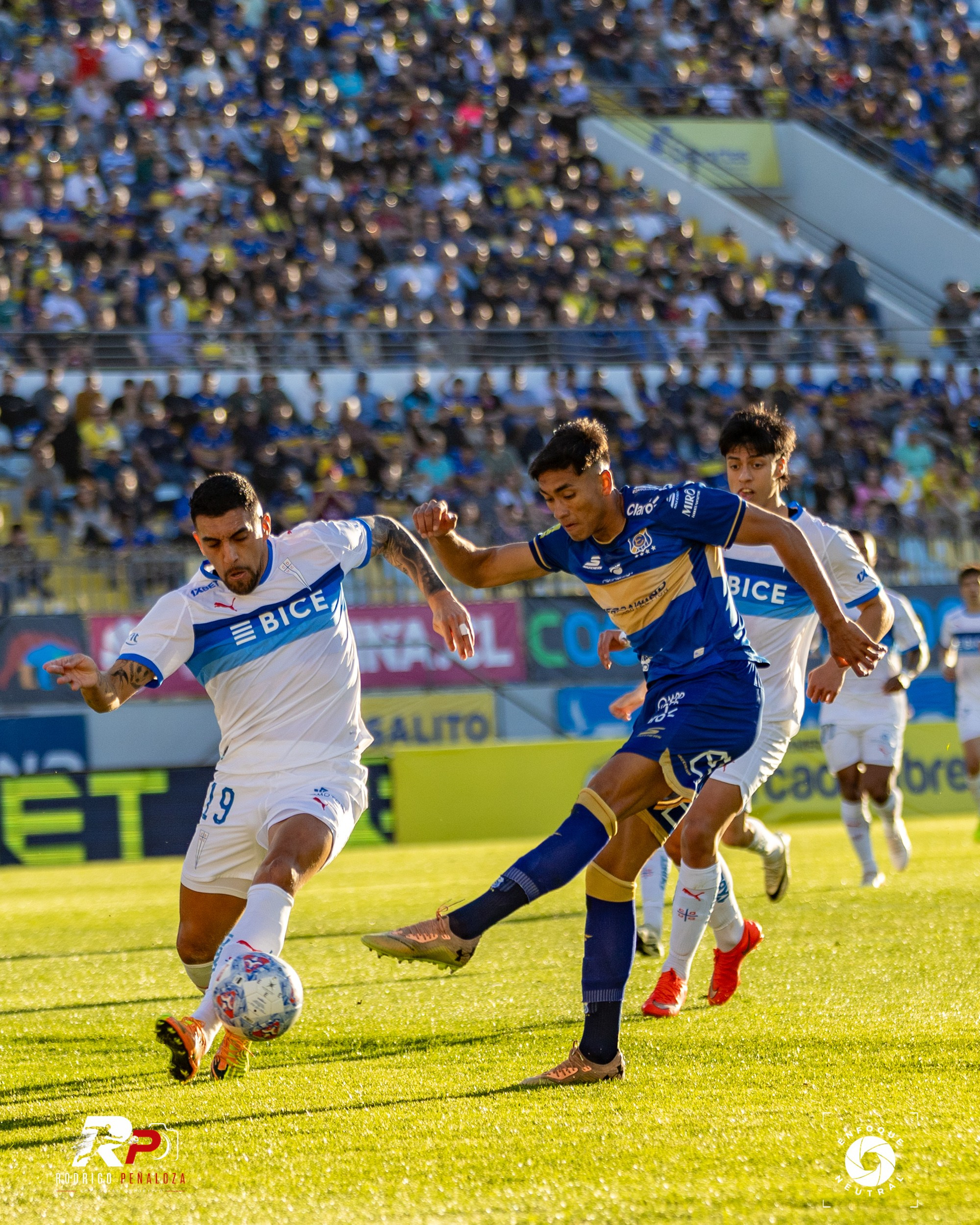 GALERIA: EVERTON VS U. CATOLICA FECHA 22 LIGA DE PRIMERA. Fotógrafo Deportivo Rodrigo Peñaloza Otarola