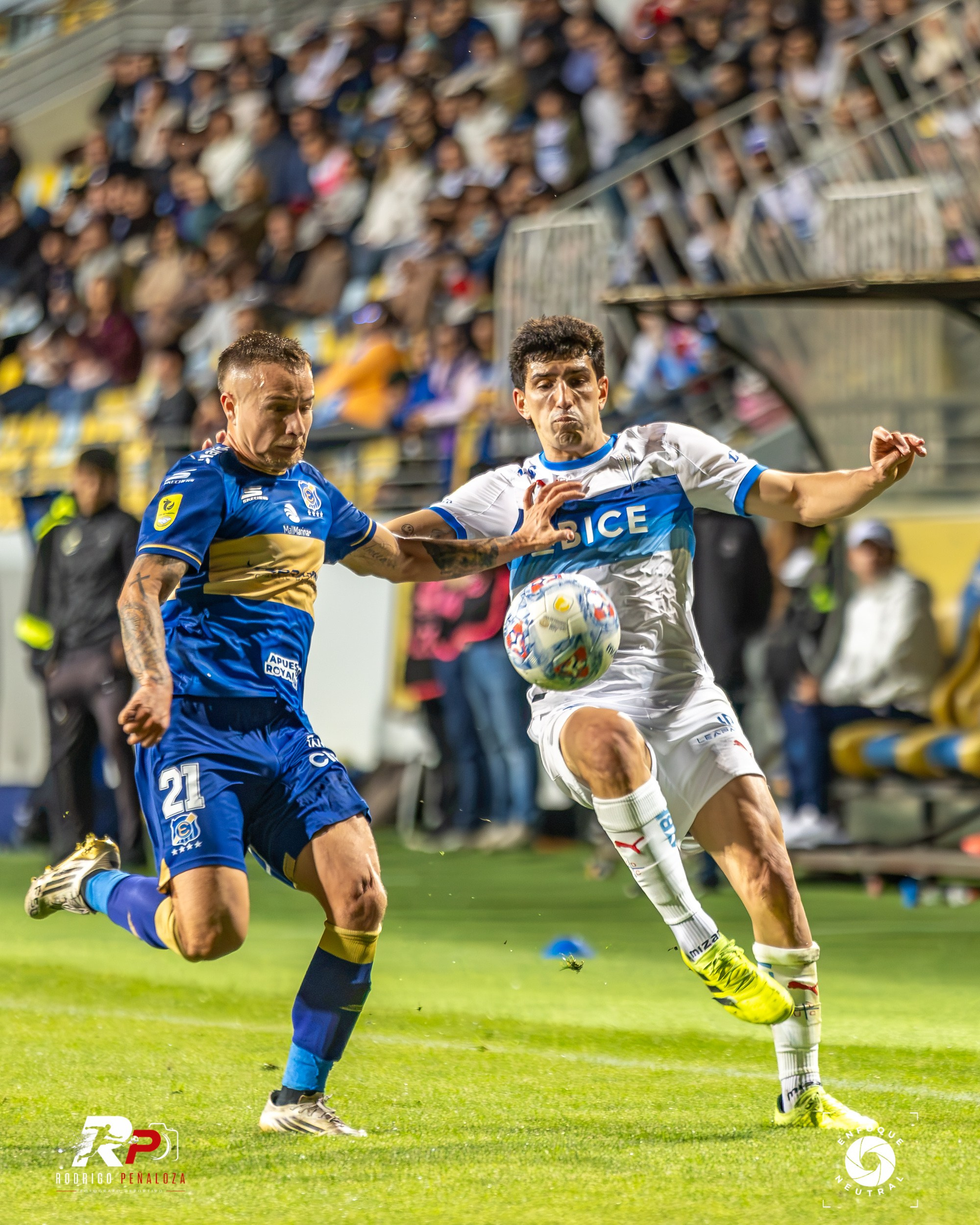 GALERIA: EVERTON VS U. CATOLICA FECHA 22 LIGA DE PRIMERA. Fotógrafo Deportivo Rodrigo Peñaloza Otarola
