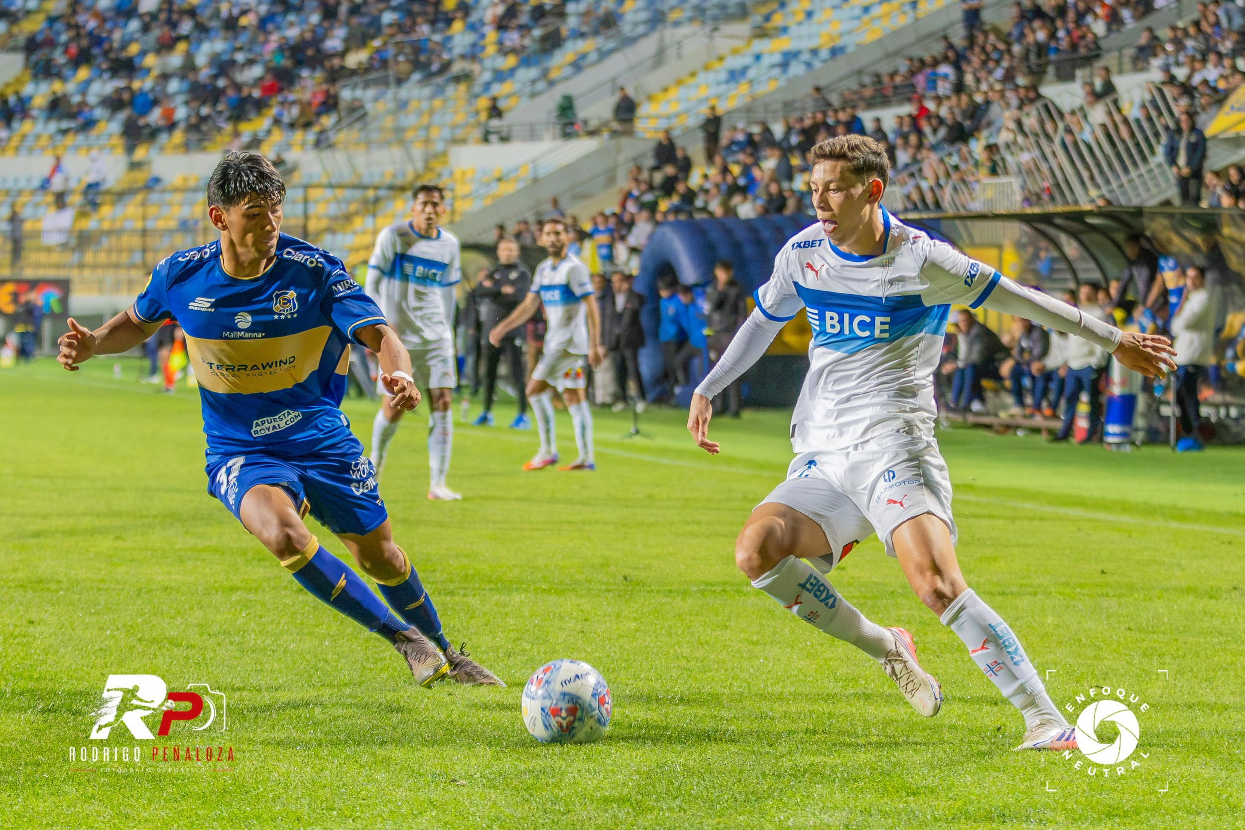 GALERIA: EVERTON VS U. CATOLICA FECHA 22 LIGA DE PRIMERA. Fotógrafo Deportivo Rodrigo Peñaloza Otarola