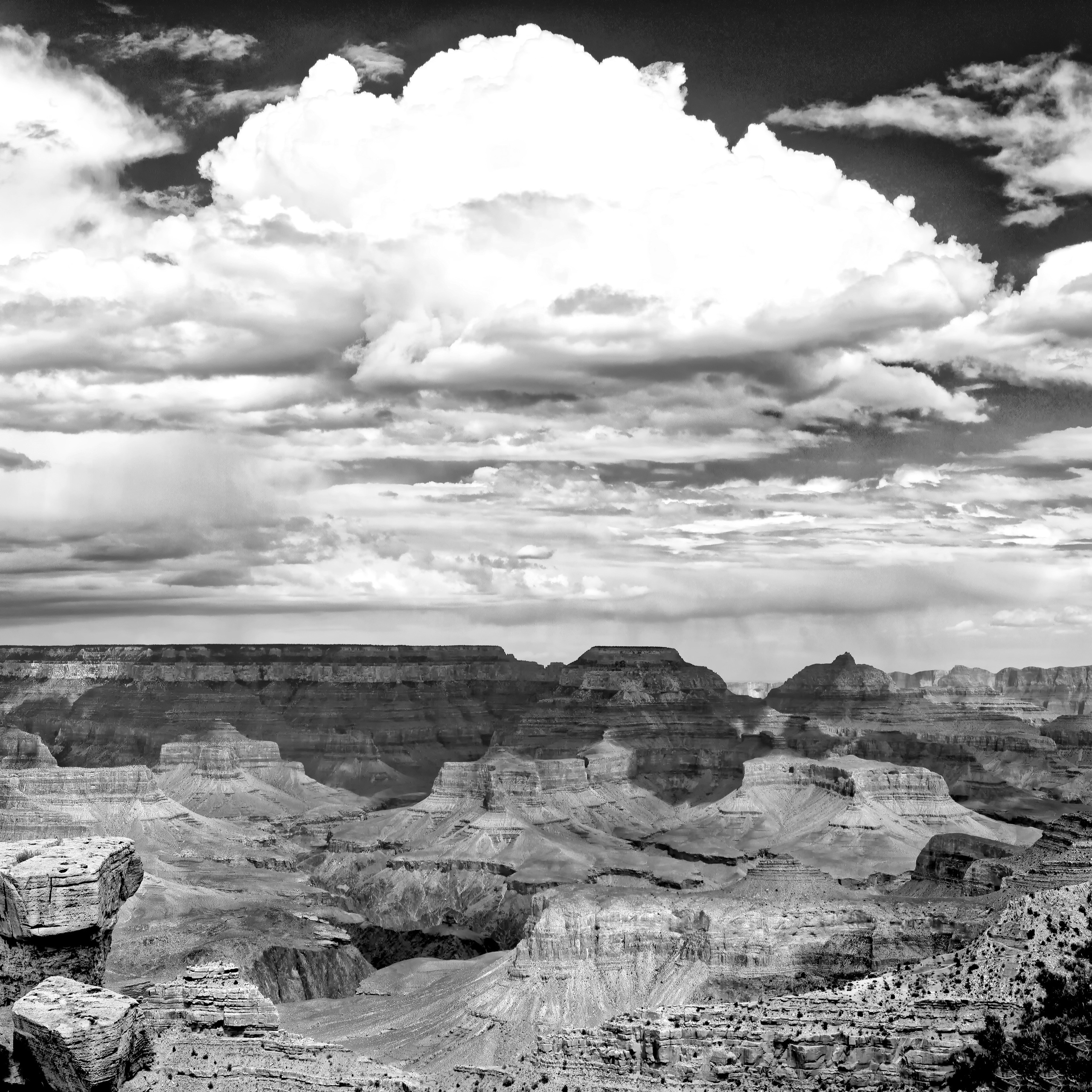 Black and White Image gallery of Tomer Weiss Fine art