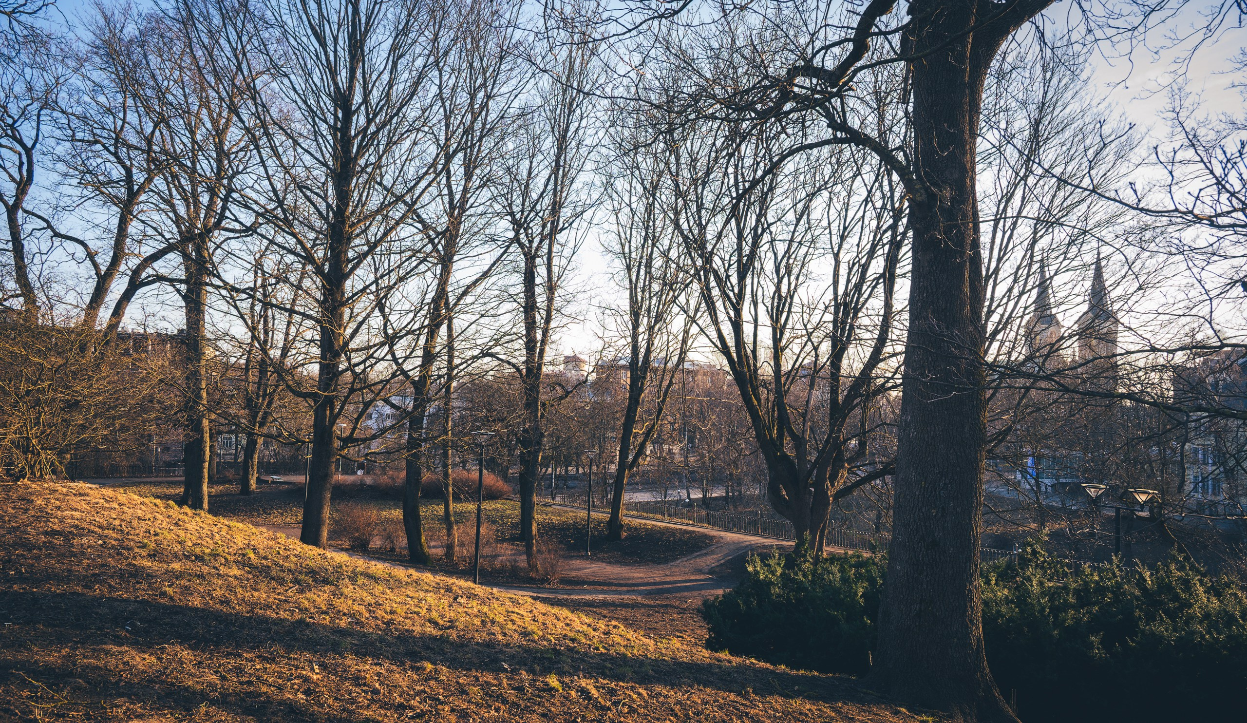 Vana-Tallinn + Gold dragon, Jalutamine (Anja K.). Nebula 25 — Fotod teie hingele