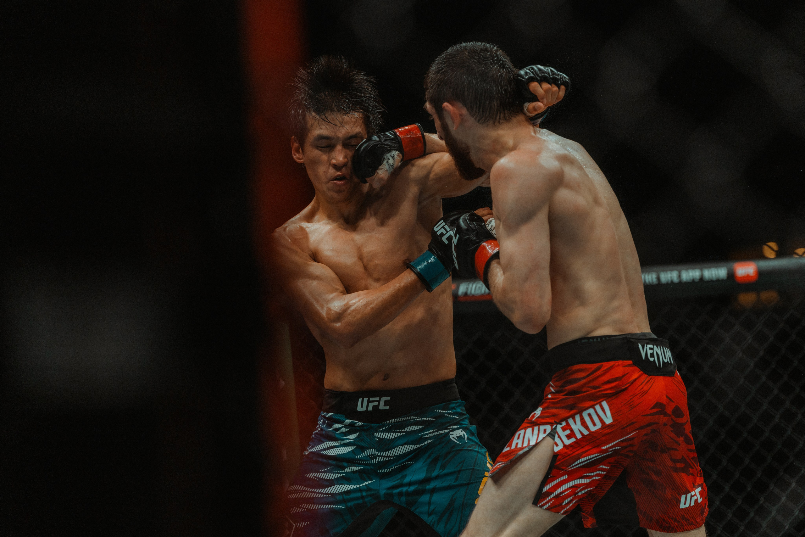 UFC. Commercial and Event photographer Eltaj