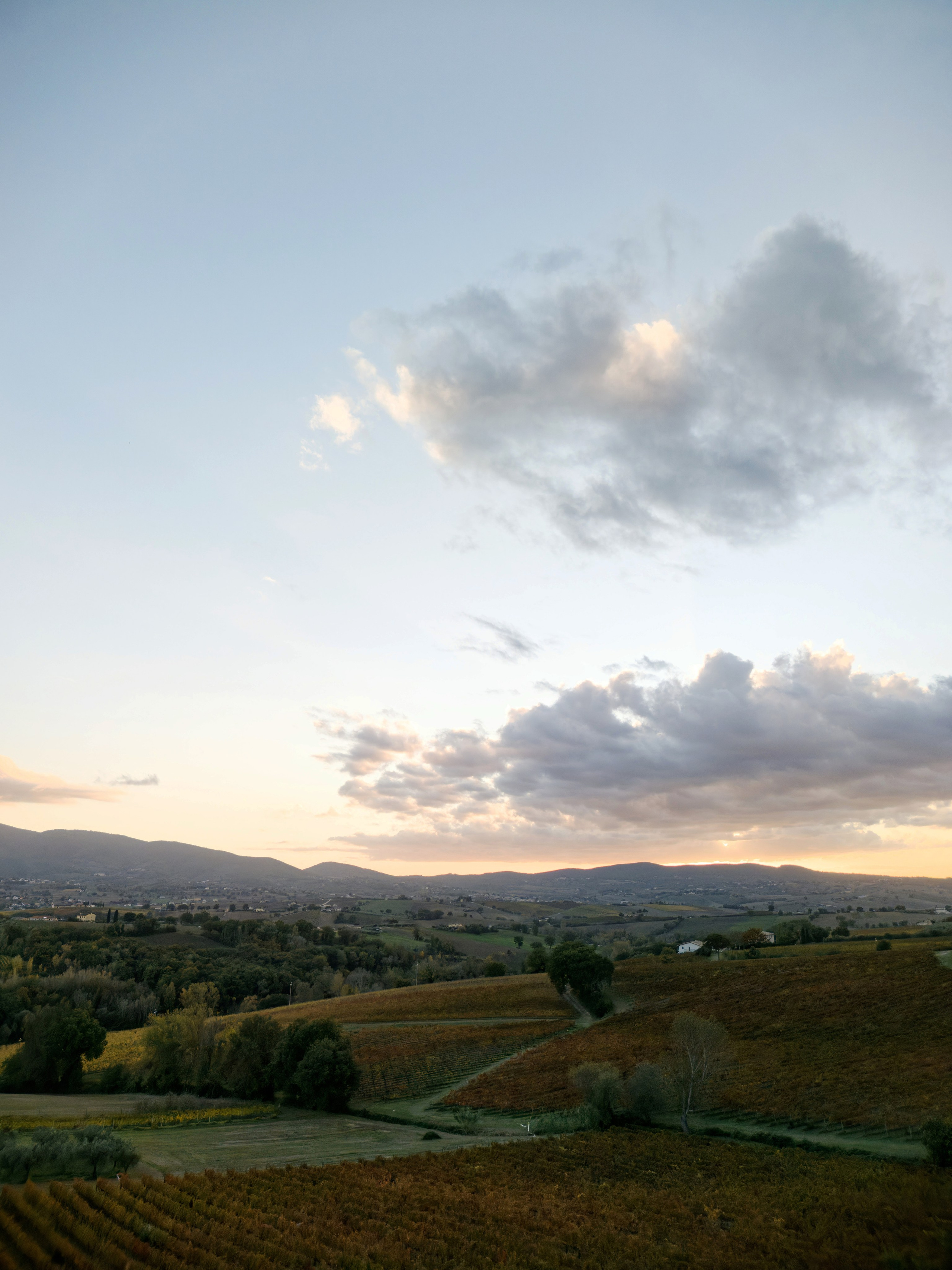 Wedding at Fonte Sala, Umbria