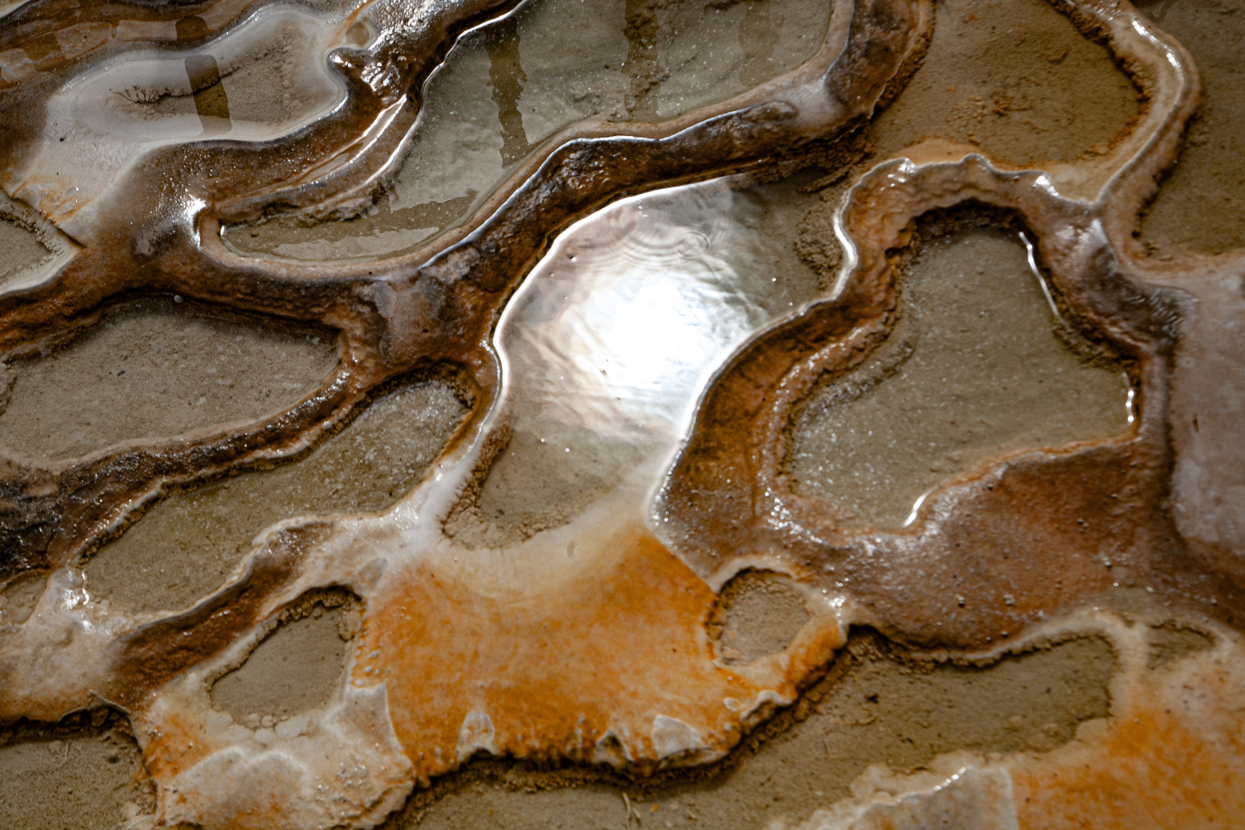 EXHIBITION. Lero Photographer and a set designer|individual custom portrait and advertising photography in Zutphen