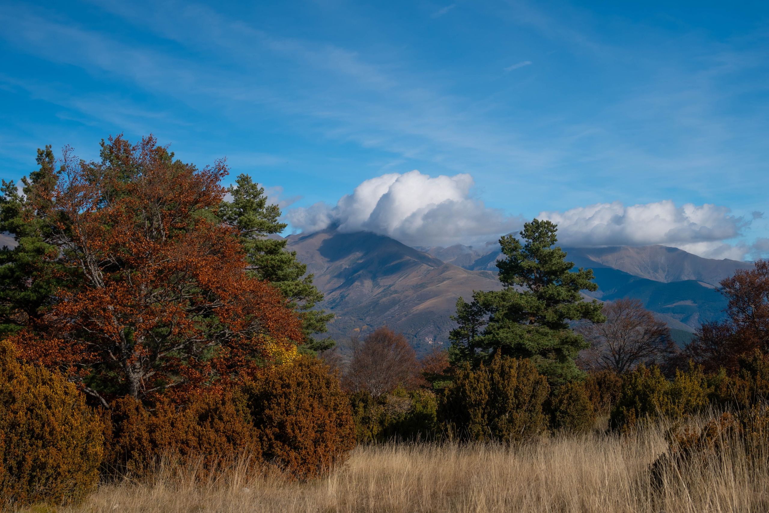 Ruta Otoño. Alba del Norte Studio