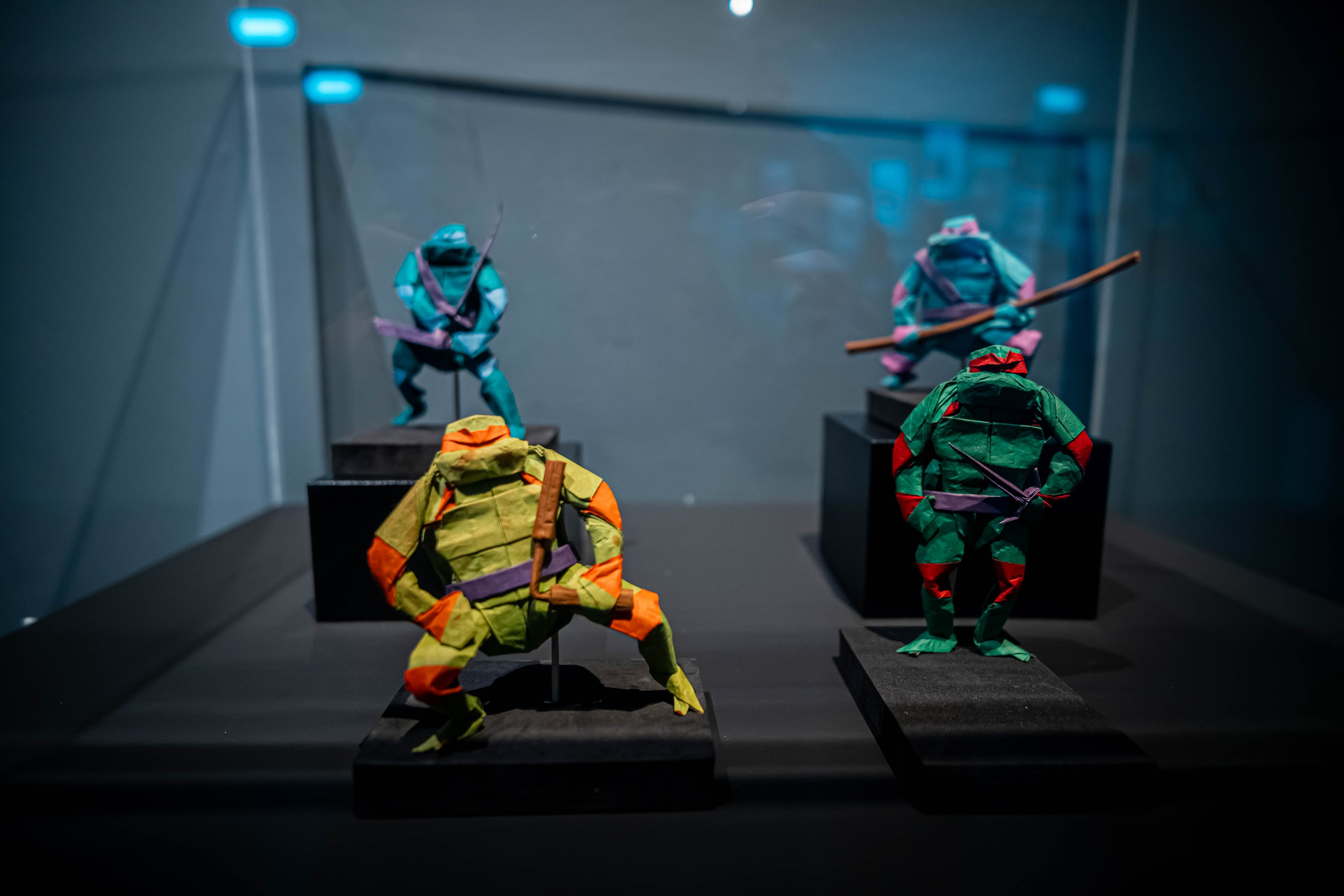 Museo de origami, Zaragoza. Alba del Norte Studio