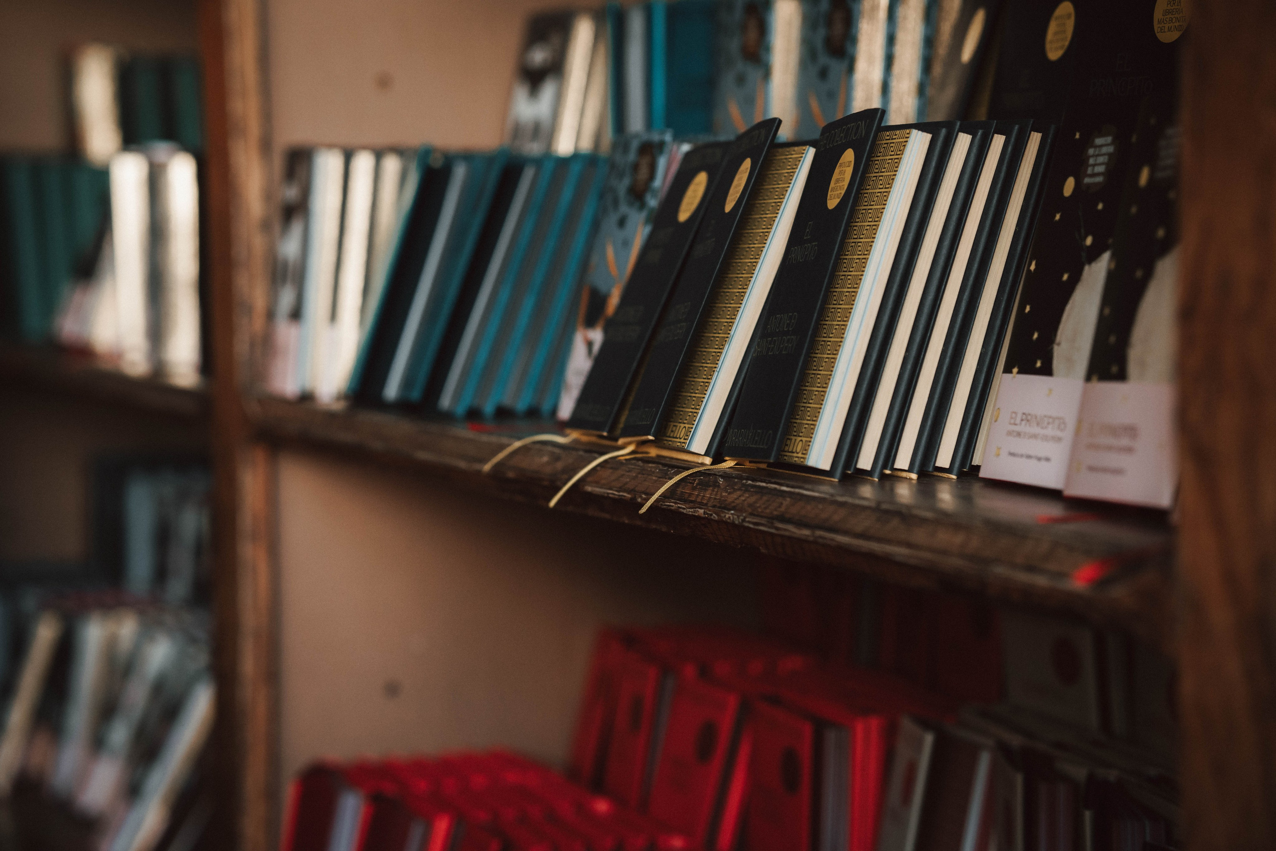Librería Lello, Porto. Alba del Norte Studio