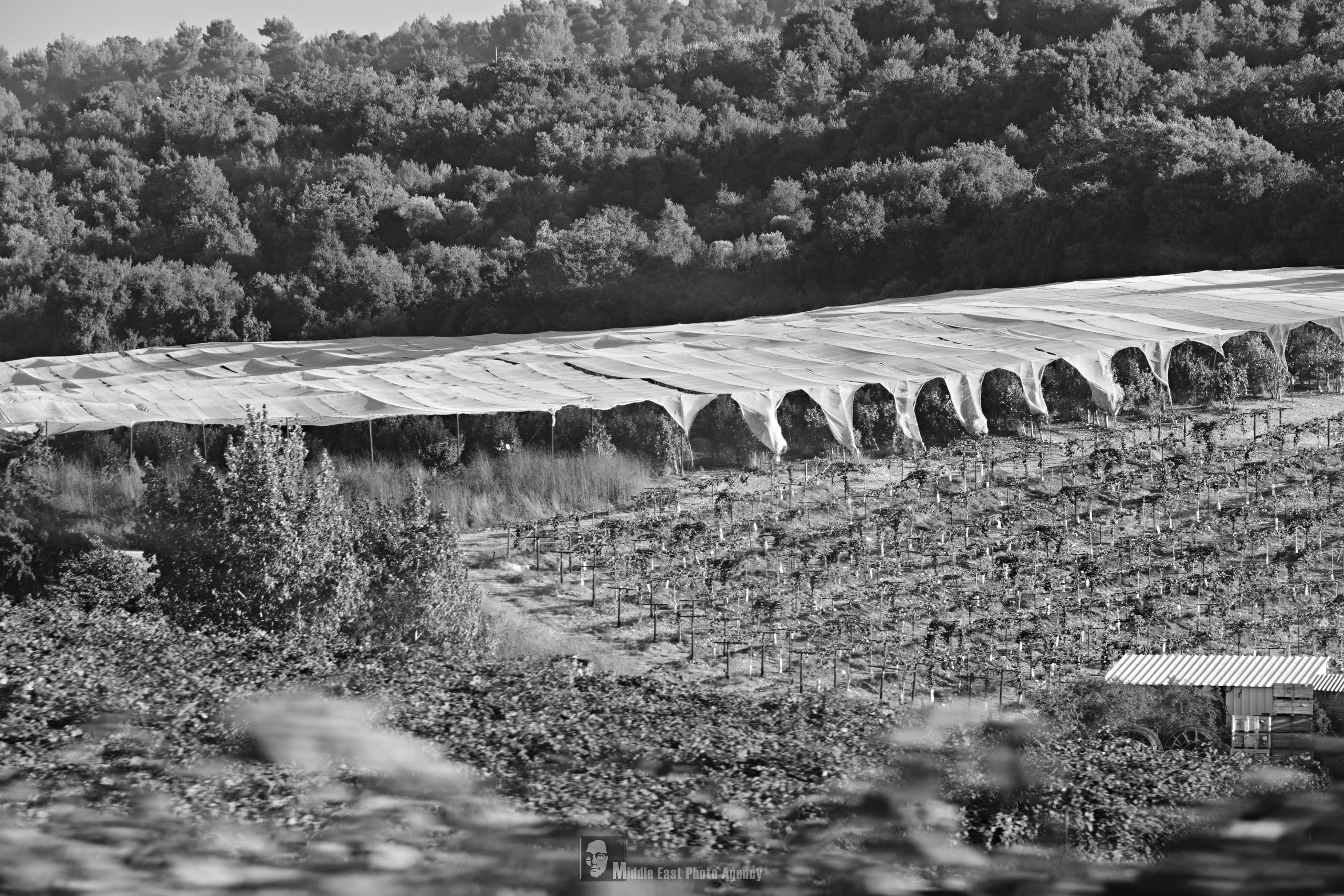 Photography: Sergei Grankin on Channel 9 – Maxim Polak. Middle East Photo Agency — Photography & Event Magnets — סוכנות צילום והדפסת מגנטים לאירועים