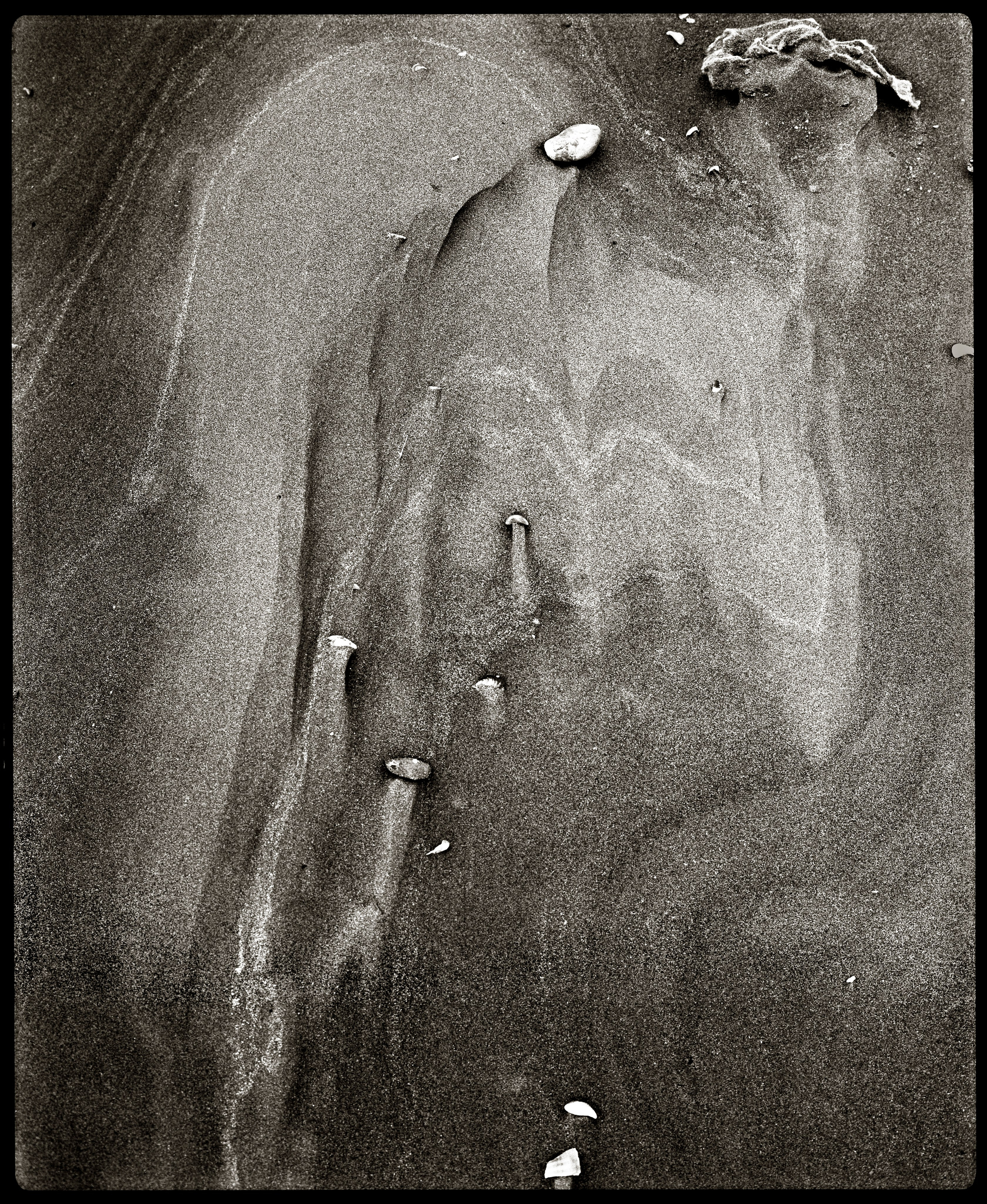 NATURE. Www.sananaleskerov.com