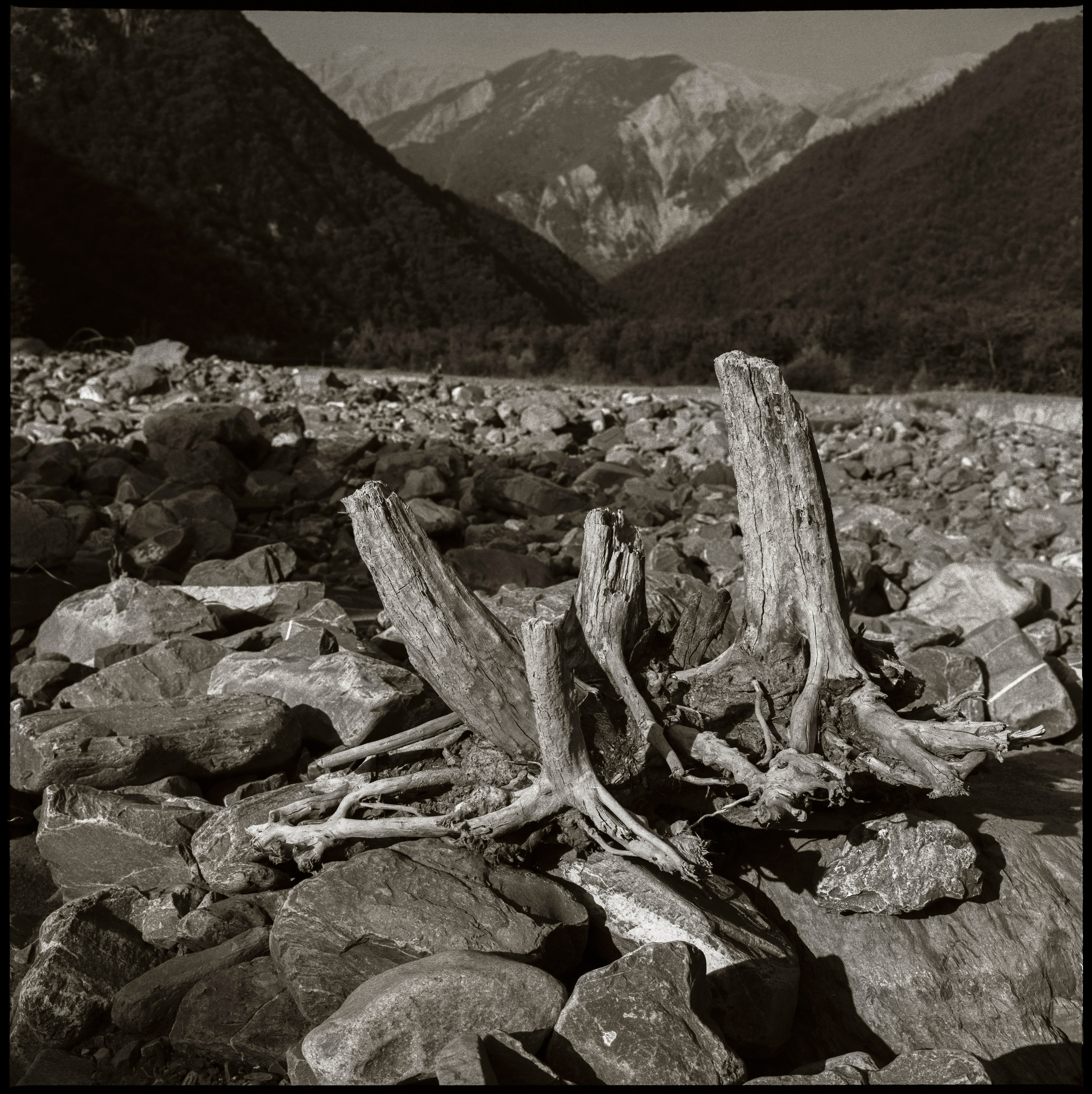 NATURE. Www.sananaleskerov.com